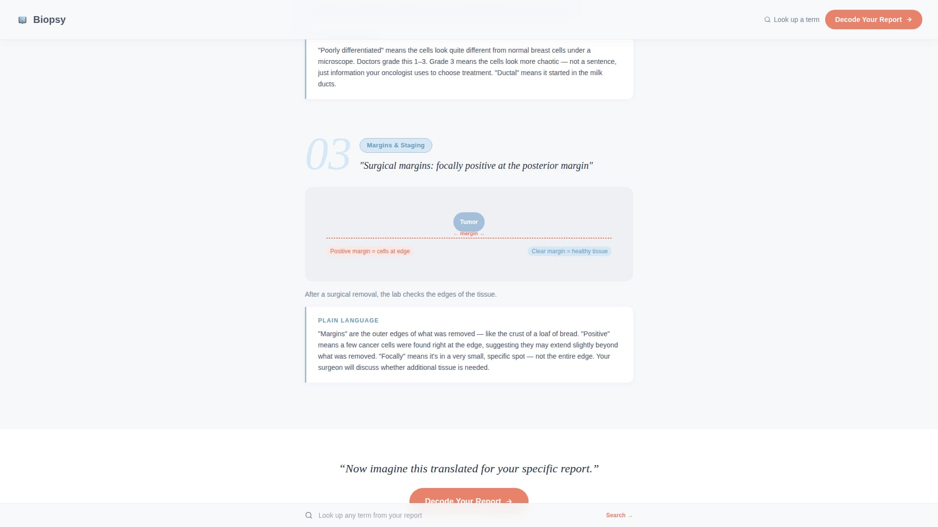 Pathology Medicine Patient Education Website Template
