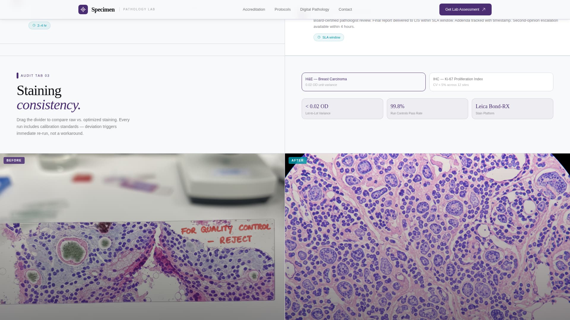 Pathology Medicine Cost Estimator Website Template