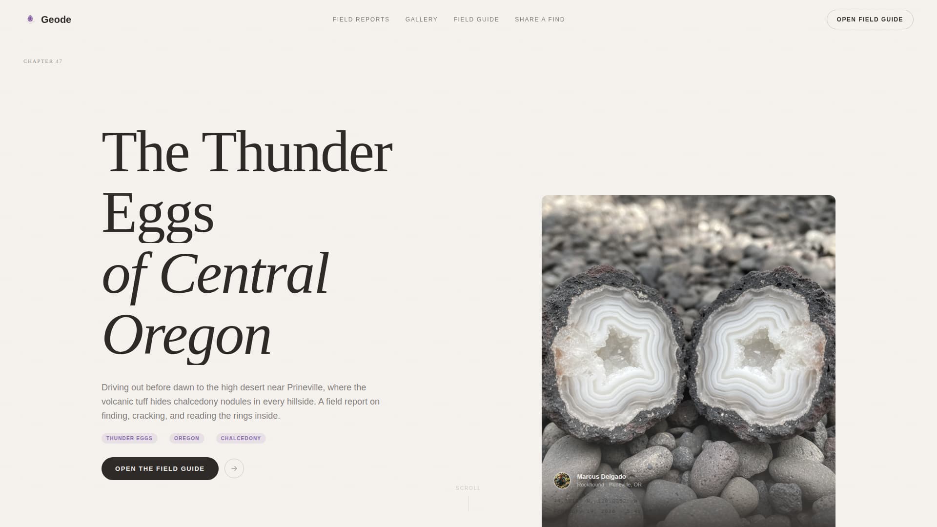 Hobby & Passion Content Blog & Content Website Template