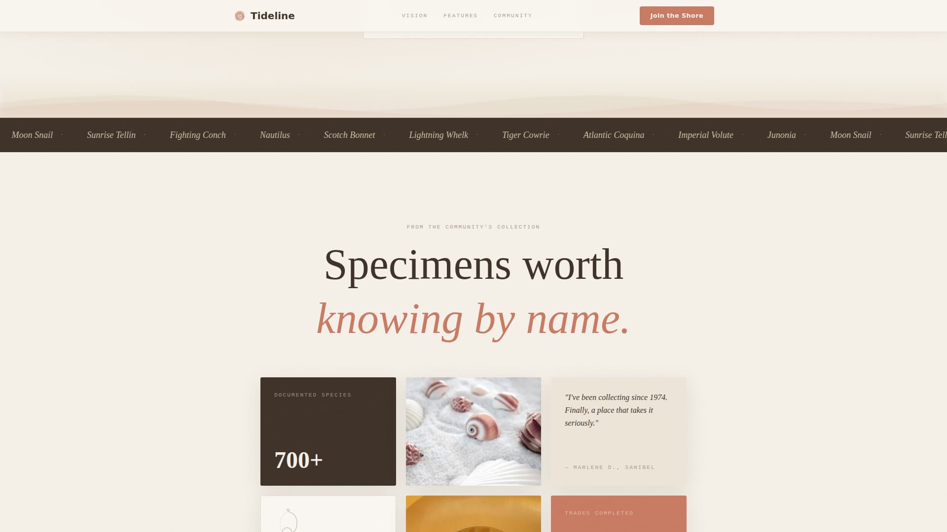Hobby & Passion Content Premium Pre-Launch Website Template