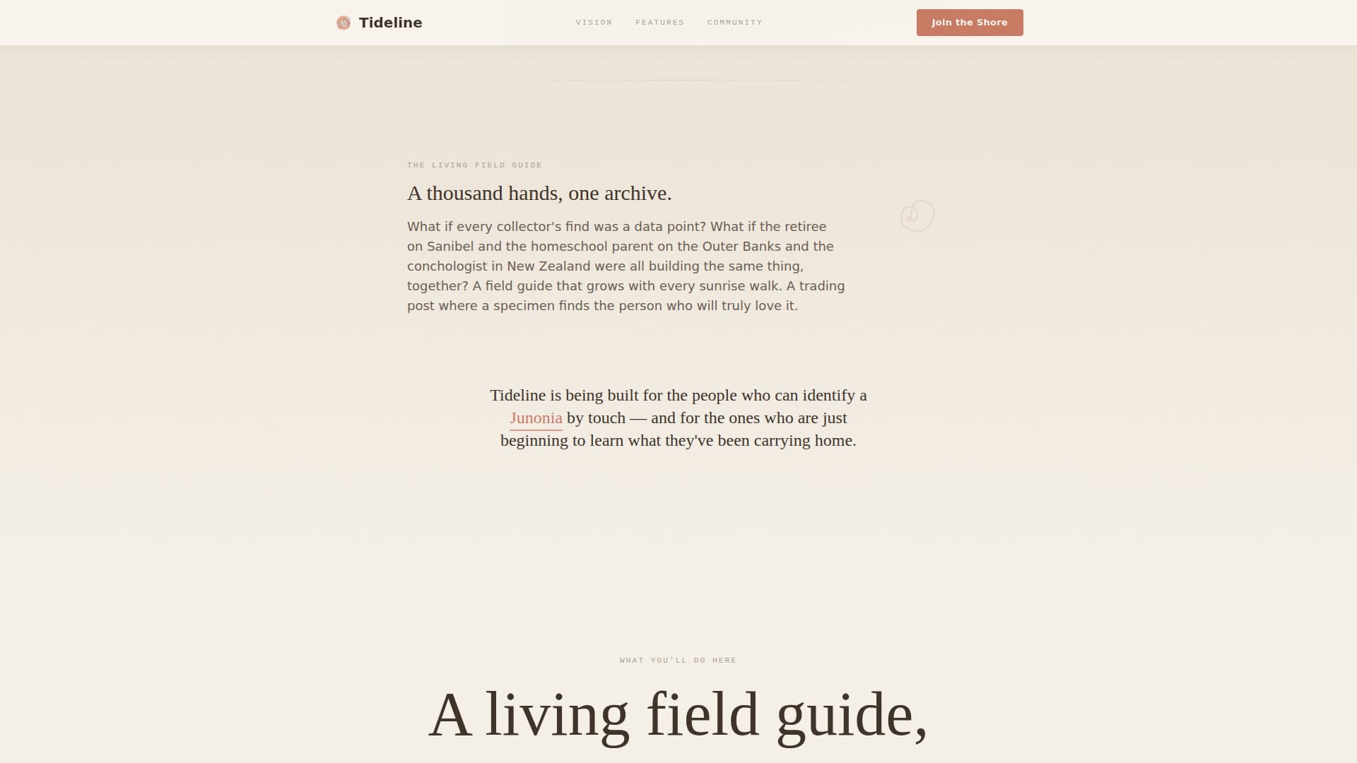 Hobby & Passion Content Premium Pre-Launch Website Template