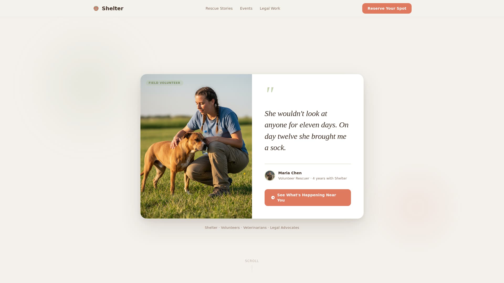 Shelter - Compassionate Animal Welfare Landing Page Template