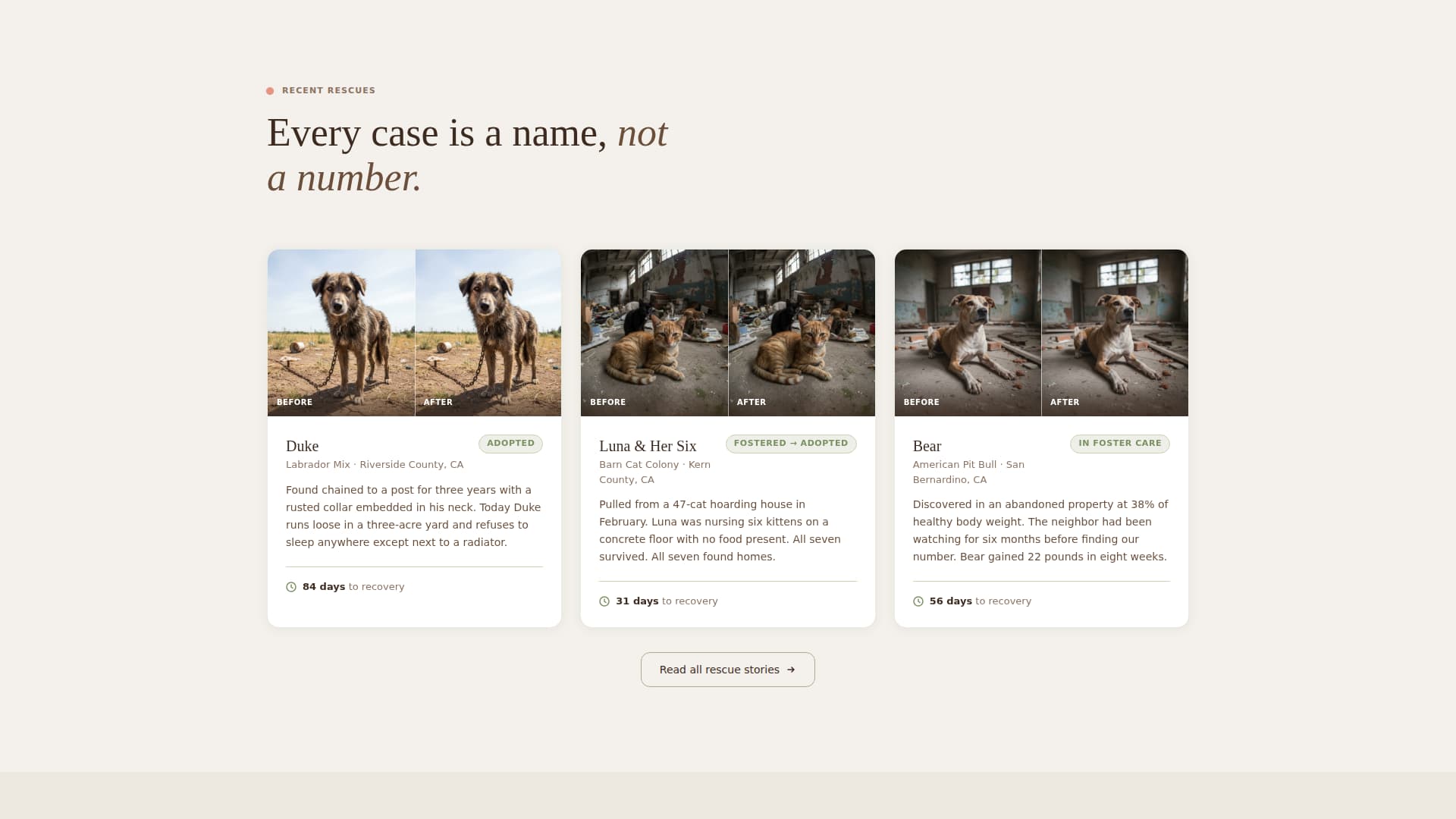 Shelter - Compassionate Animal Welfare Landing Page Template