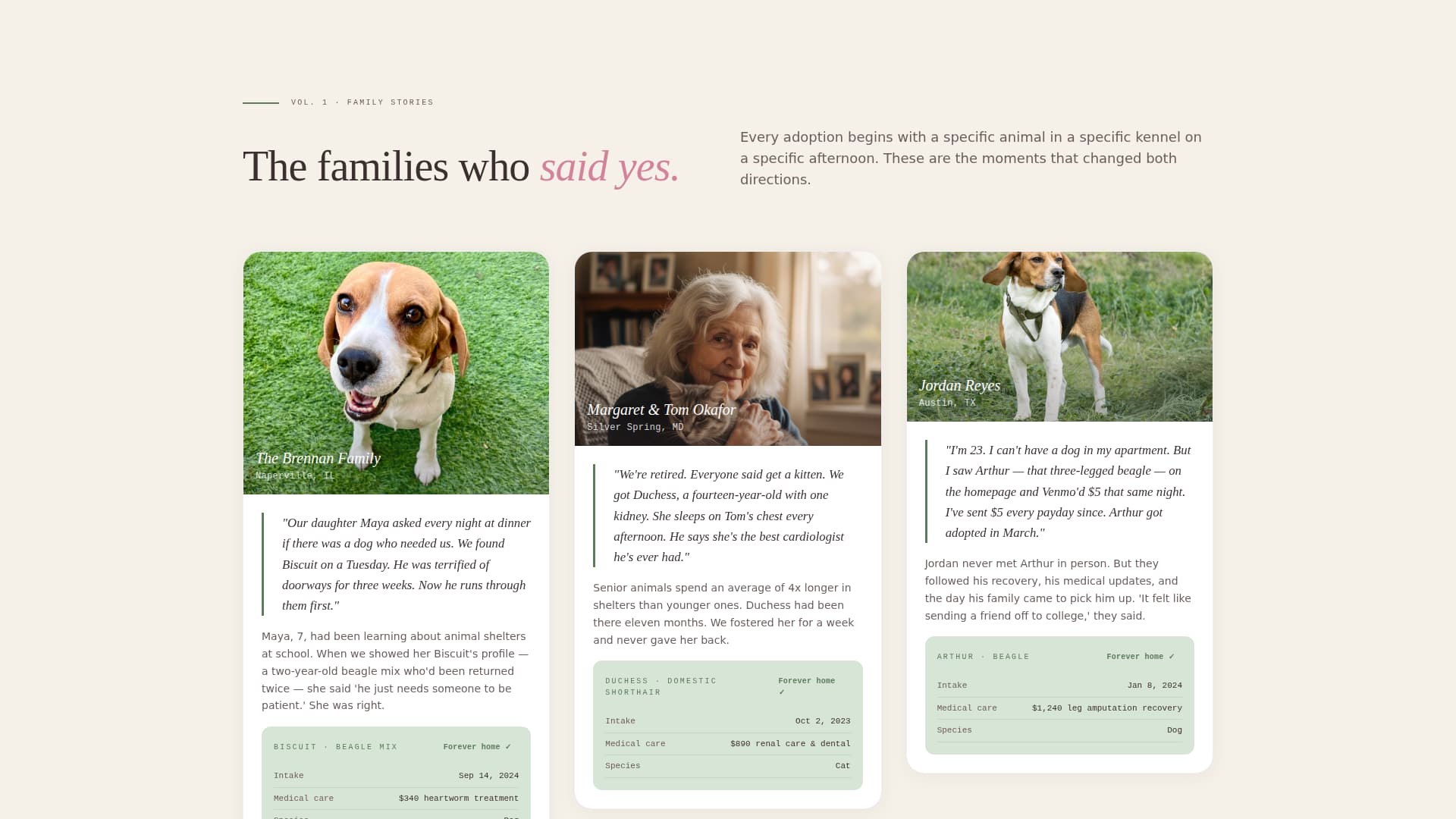 Shelter - Heartfelt Nonprofit Landing Page Template