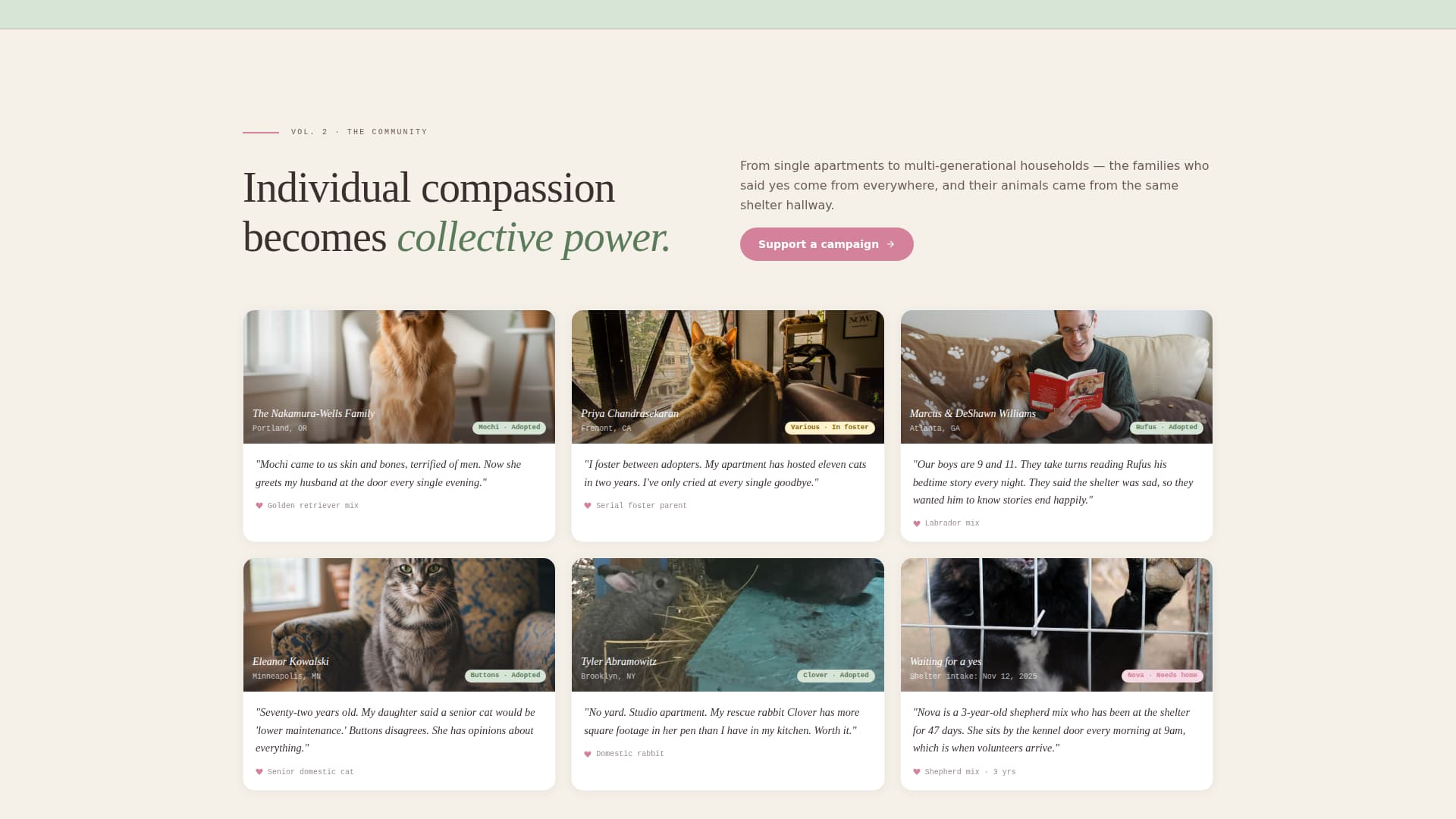 Shelter - Heartfelt Nonprofit Landing Page Template