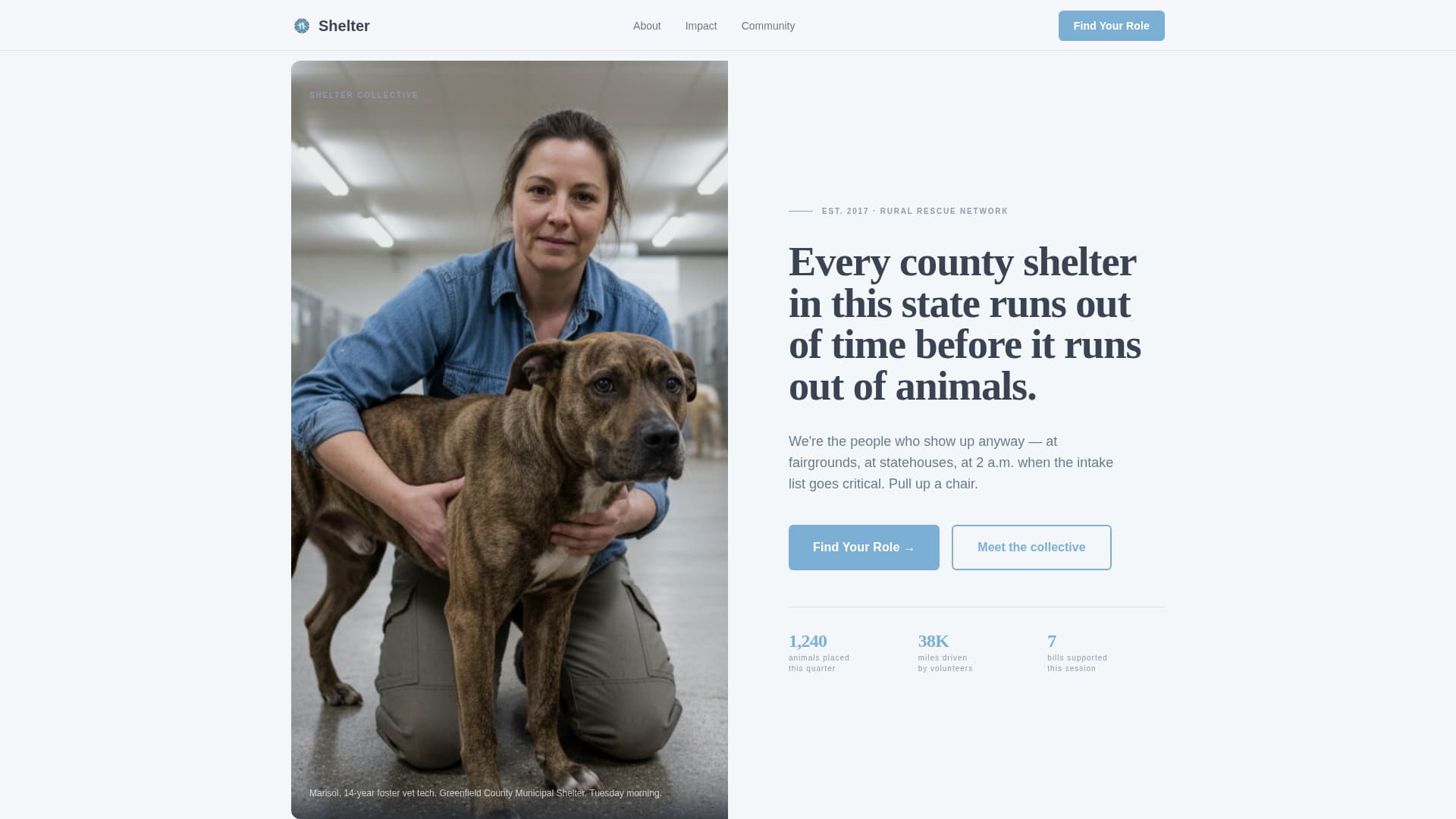 Shelter - Heartfelt Animal Rights Landing Page Template