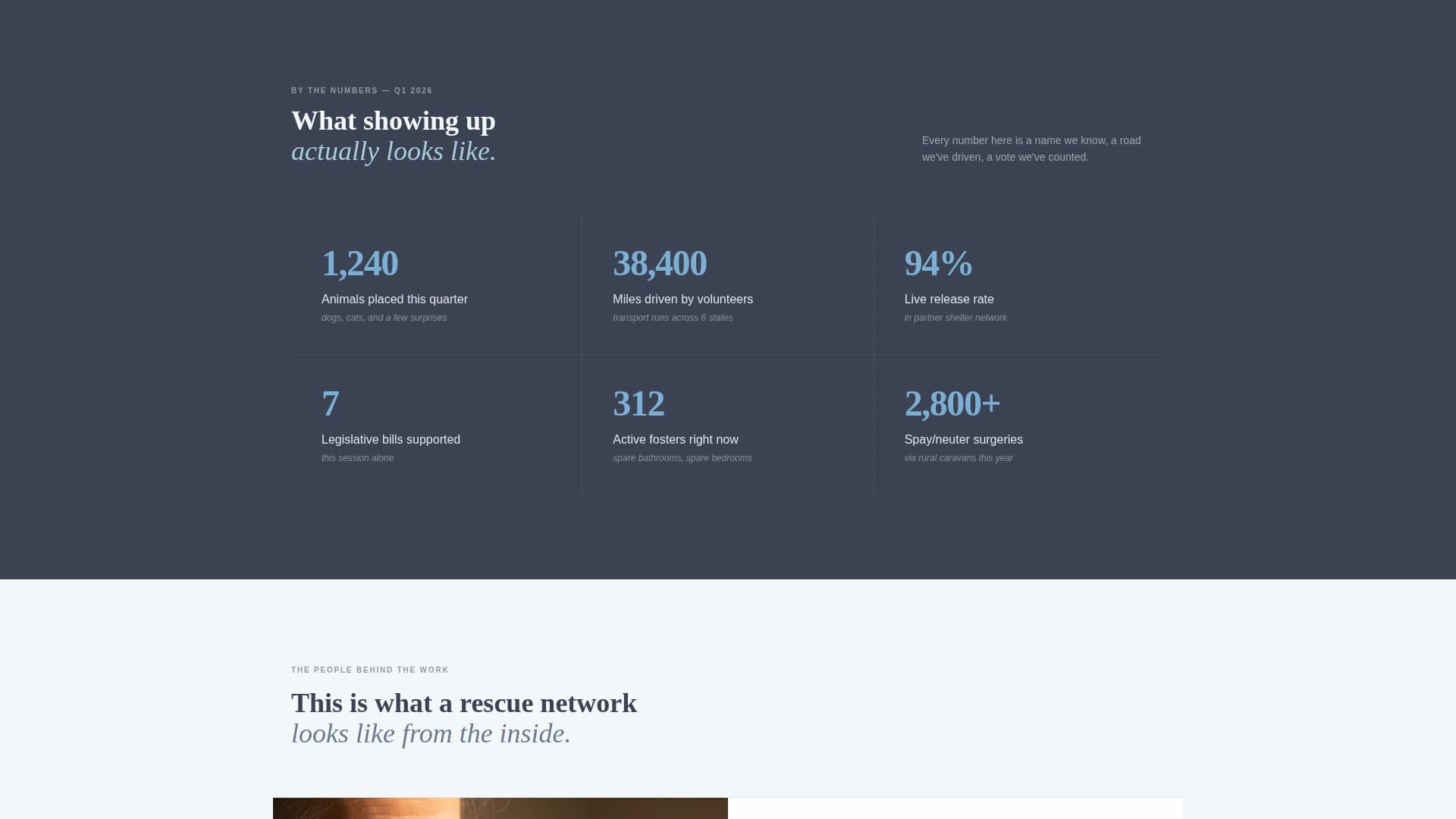 Shelter - Heartfelt Animal Rights Landing Page Template