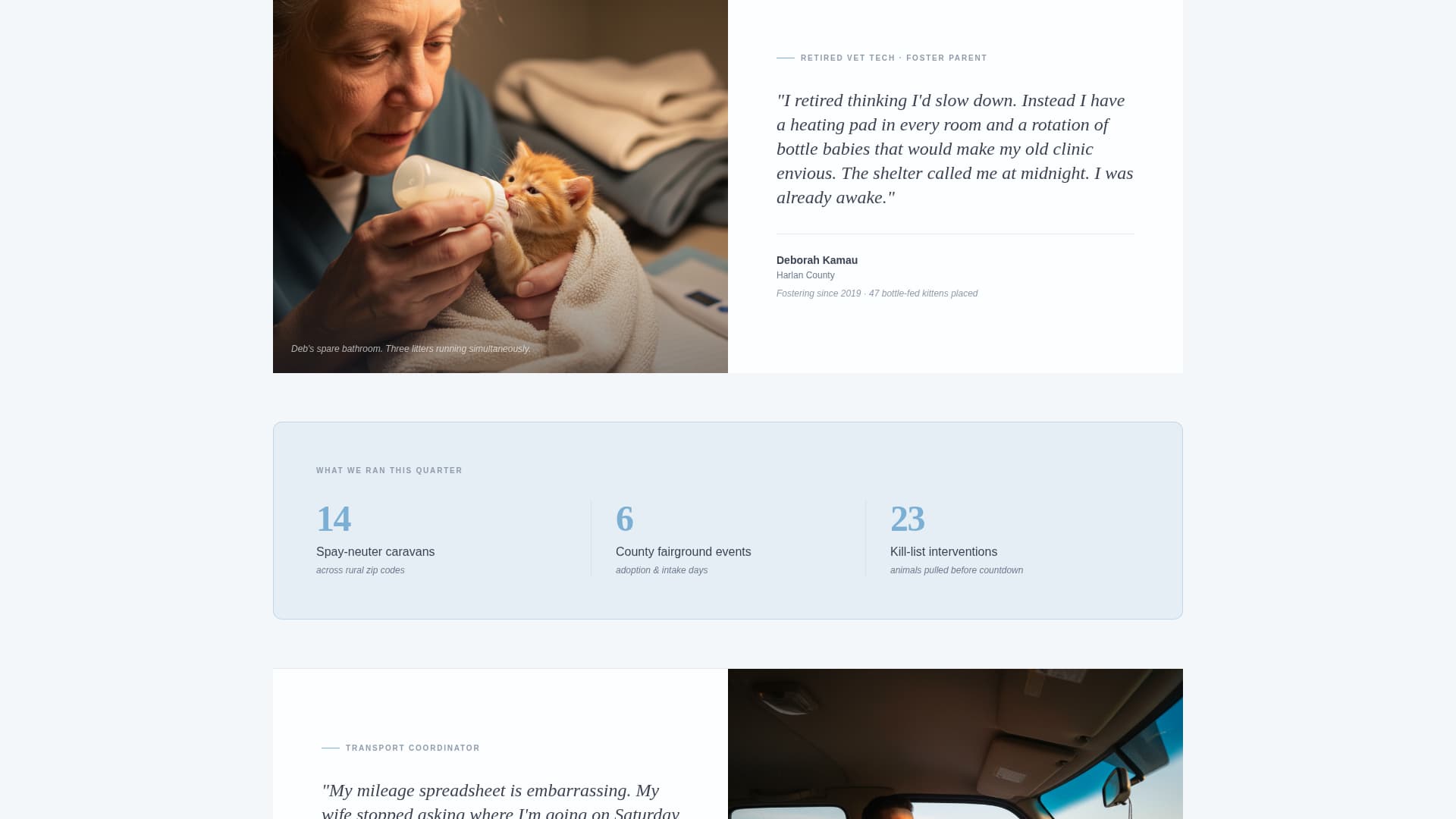 Shelter - Heartfelt Animal Rights Landing Page Template