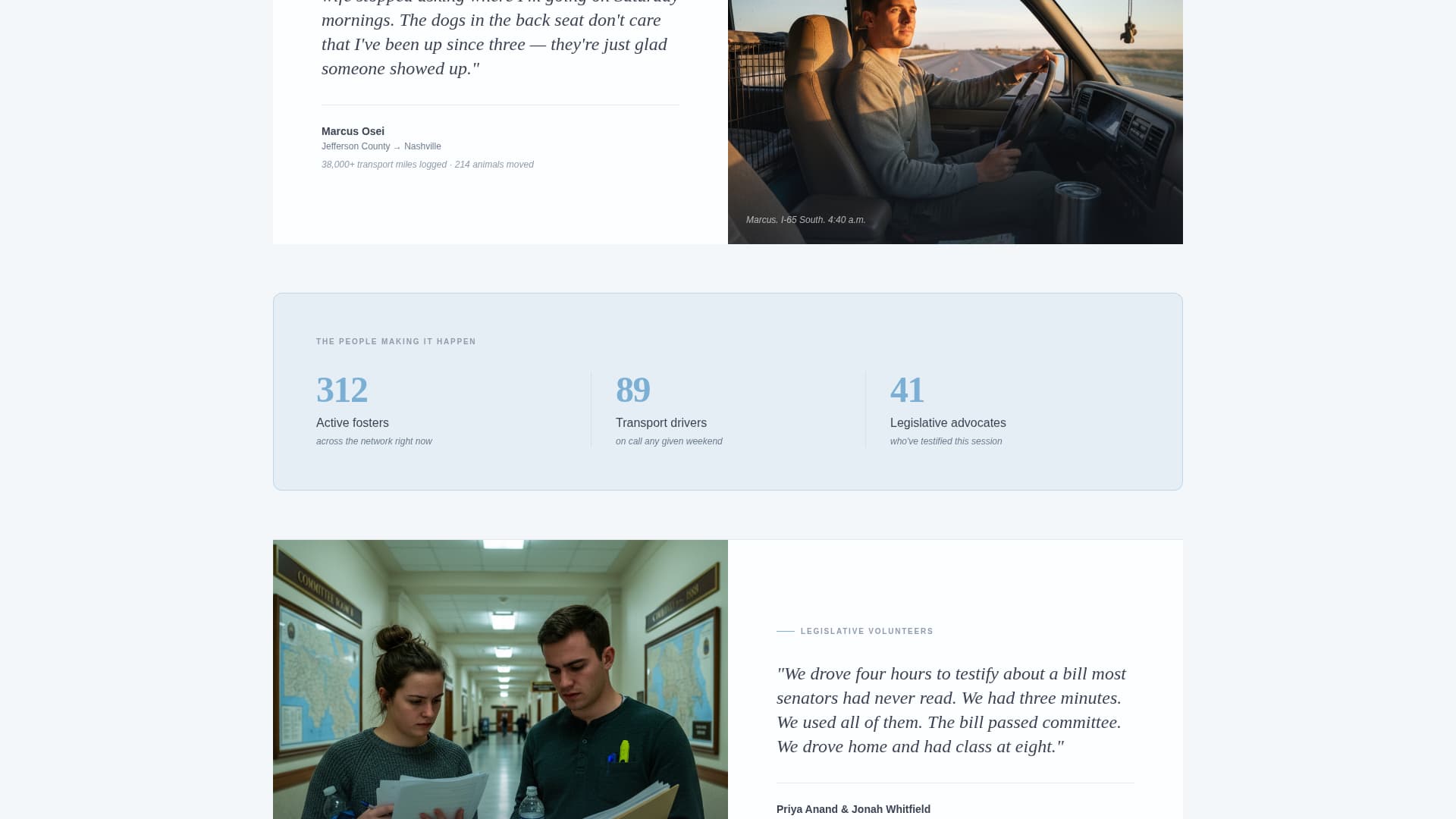 Shelter - Heartfelt Animal Rights Landing Page Template