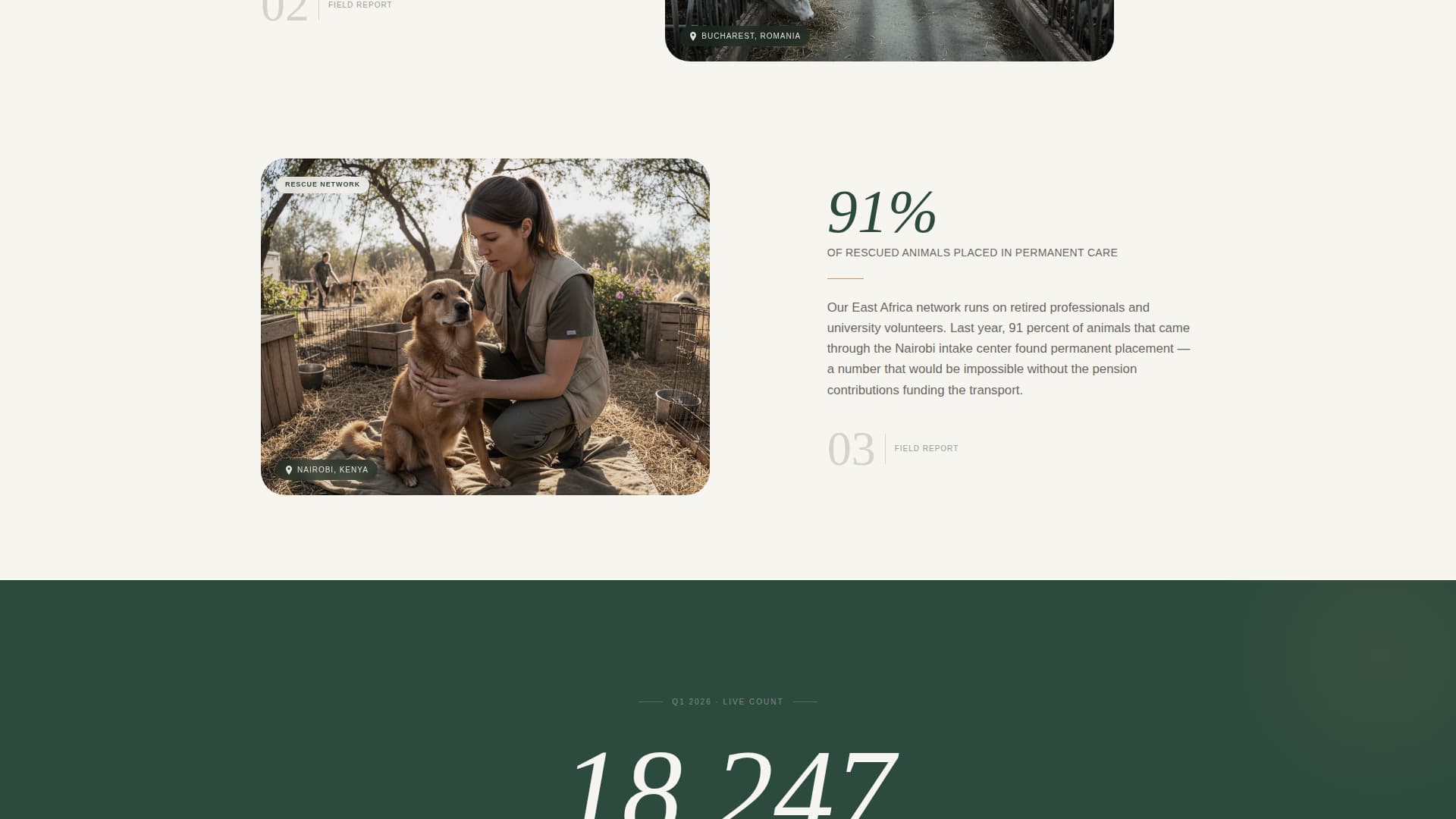 Sanctuary - Compassionate Animal Rights Landing Page Template