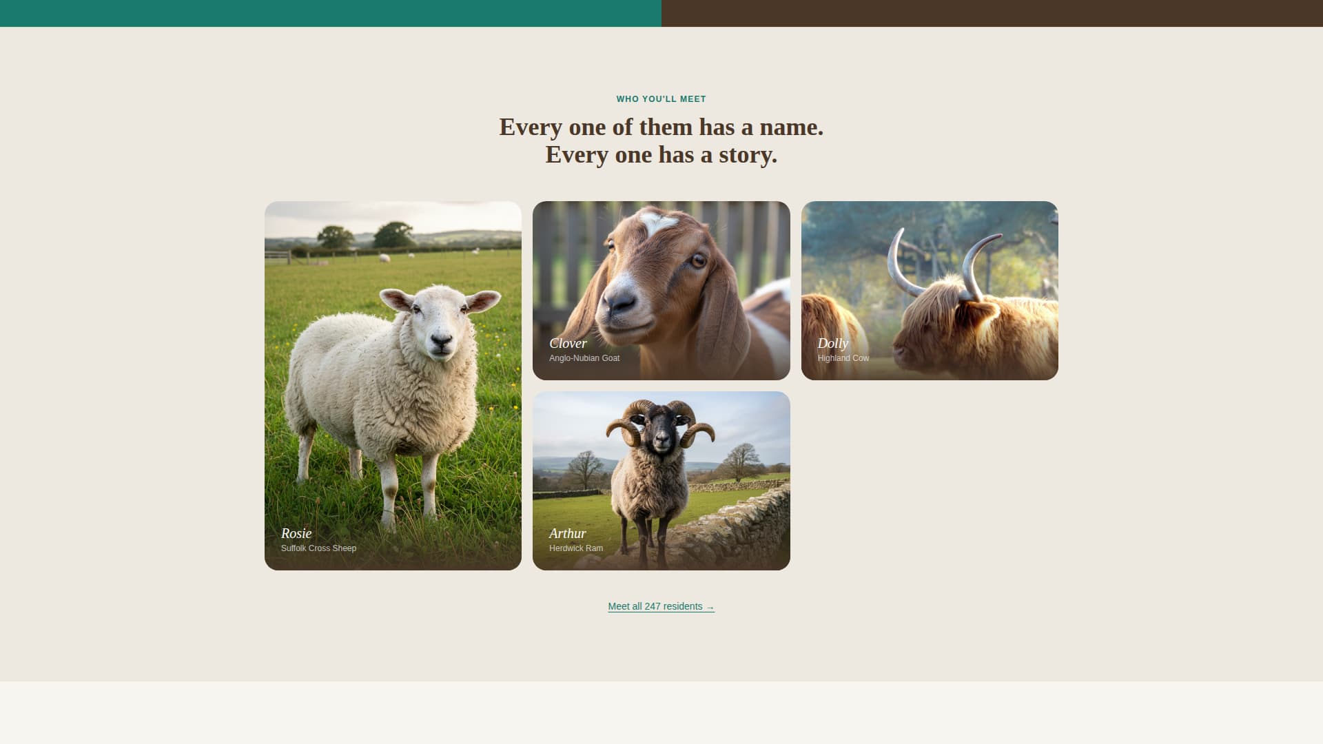Sanctuary - Heartfelt Animal Rights Landing Page Template
