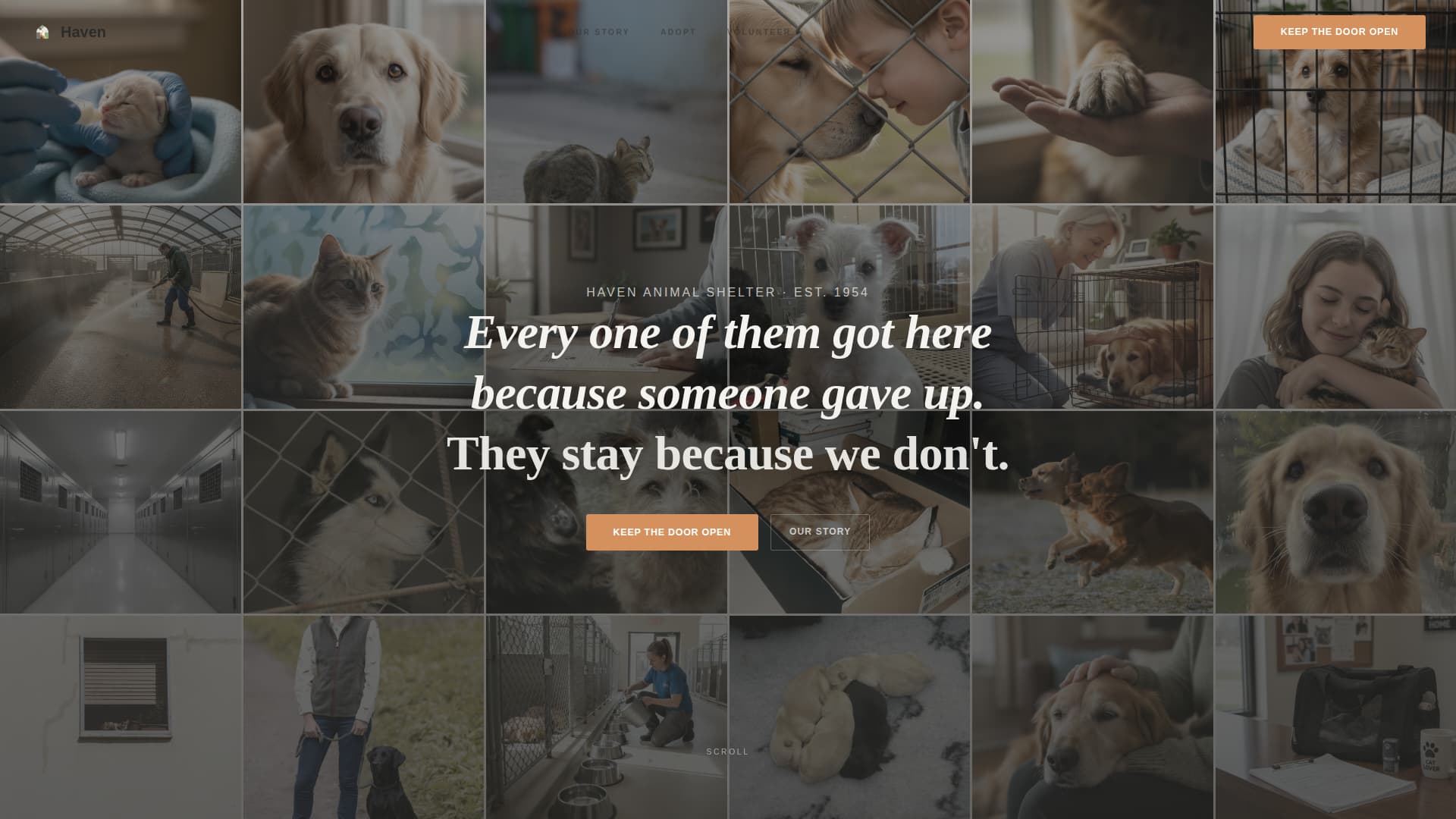 Haven - Heartfelt Shelter Landing Page Template