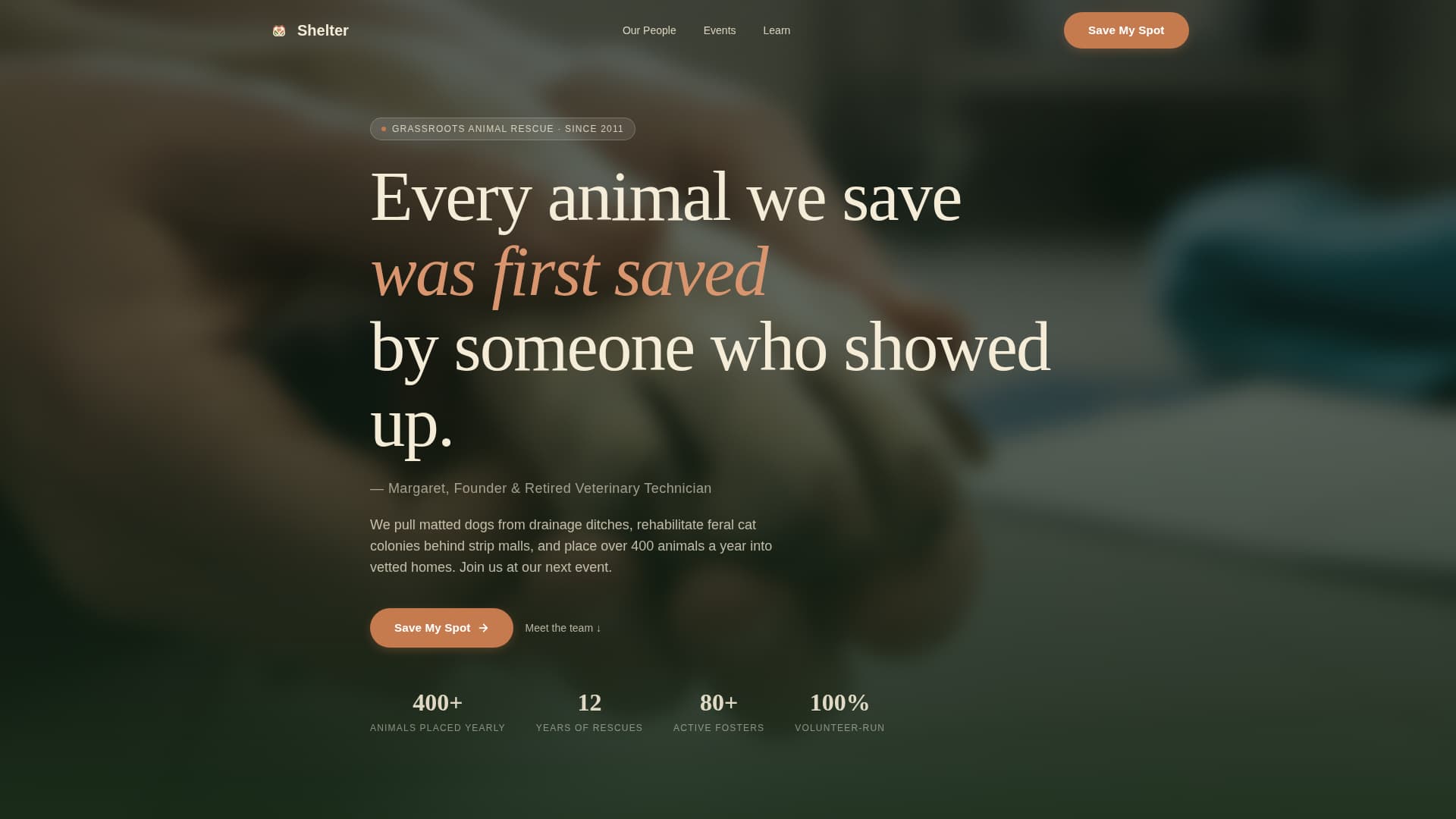 Advanced Foundation & NGO Professional Website Template