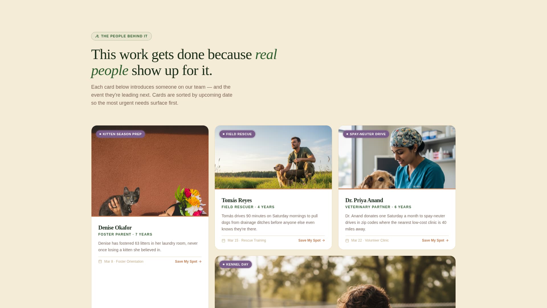 Advanced Foundation & NGO Professional Website Template