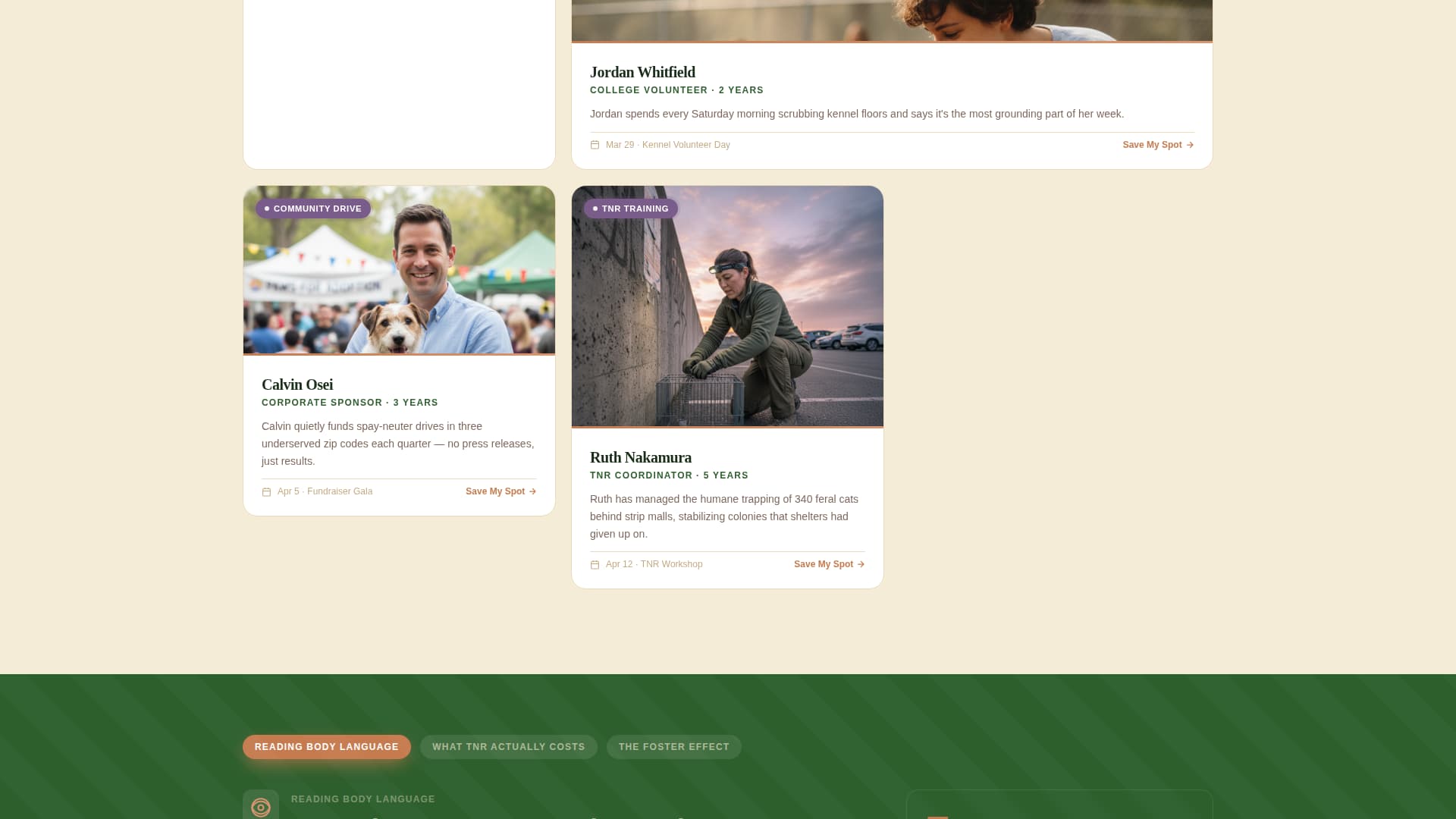 Advanced Foundation & NGO Professional Website Template