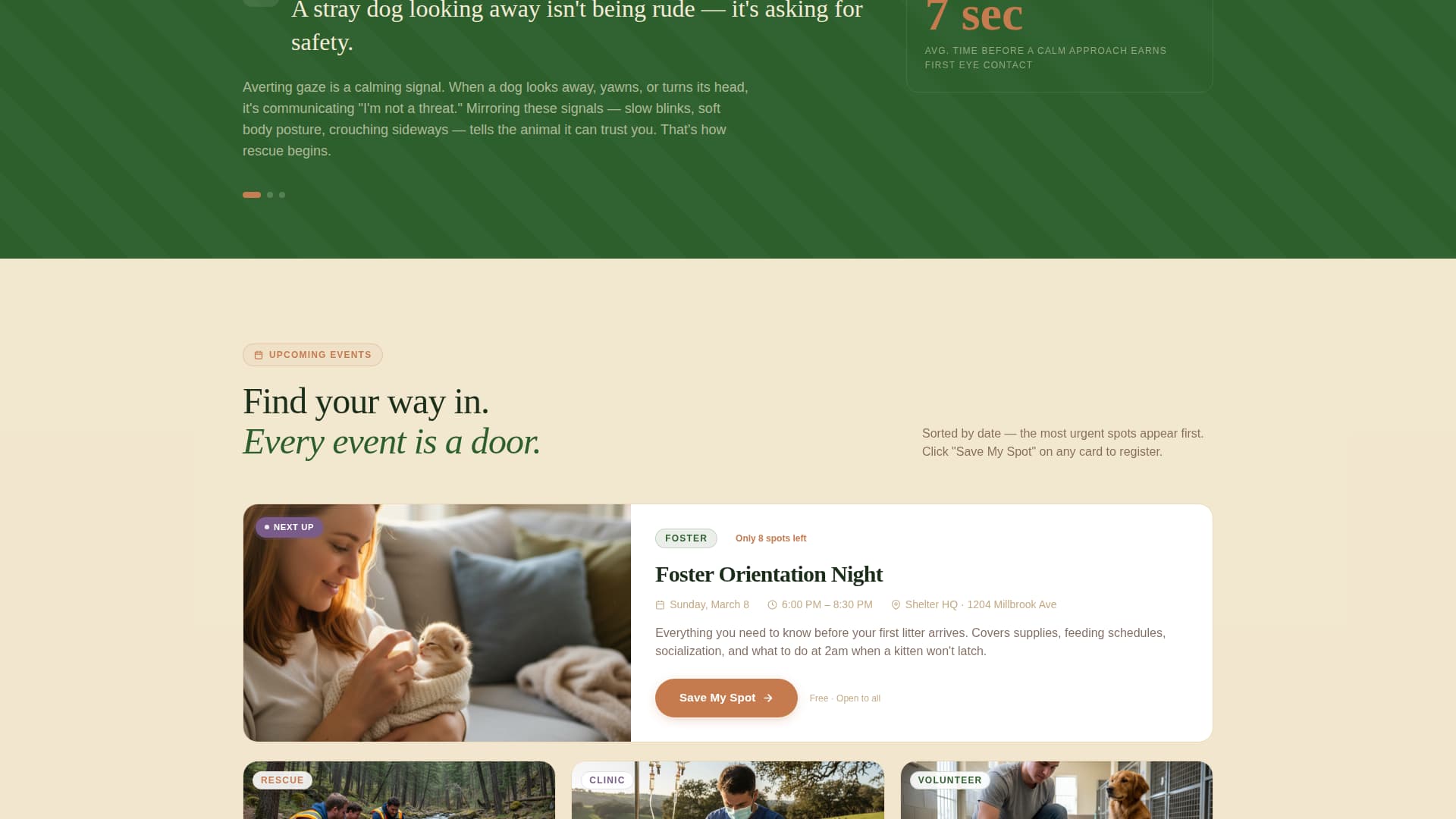 Advanced Foundation & NGO Professional Website Template