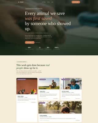 Advanced Foundation & NGO Professional Website Template