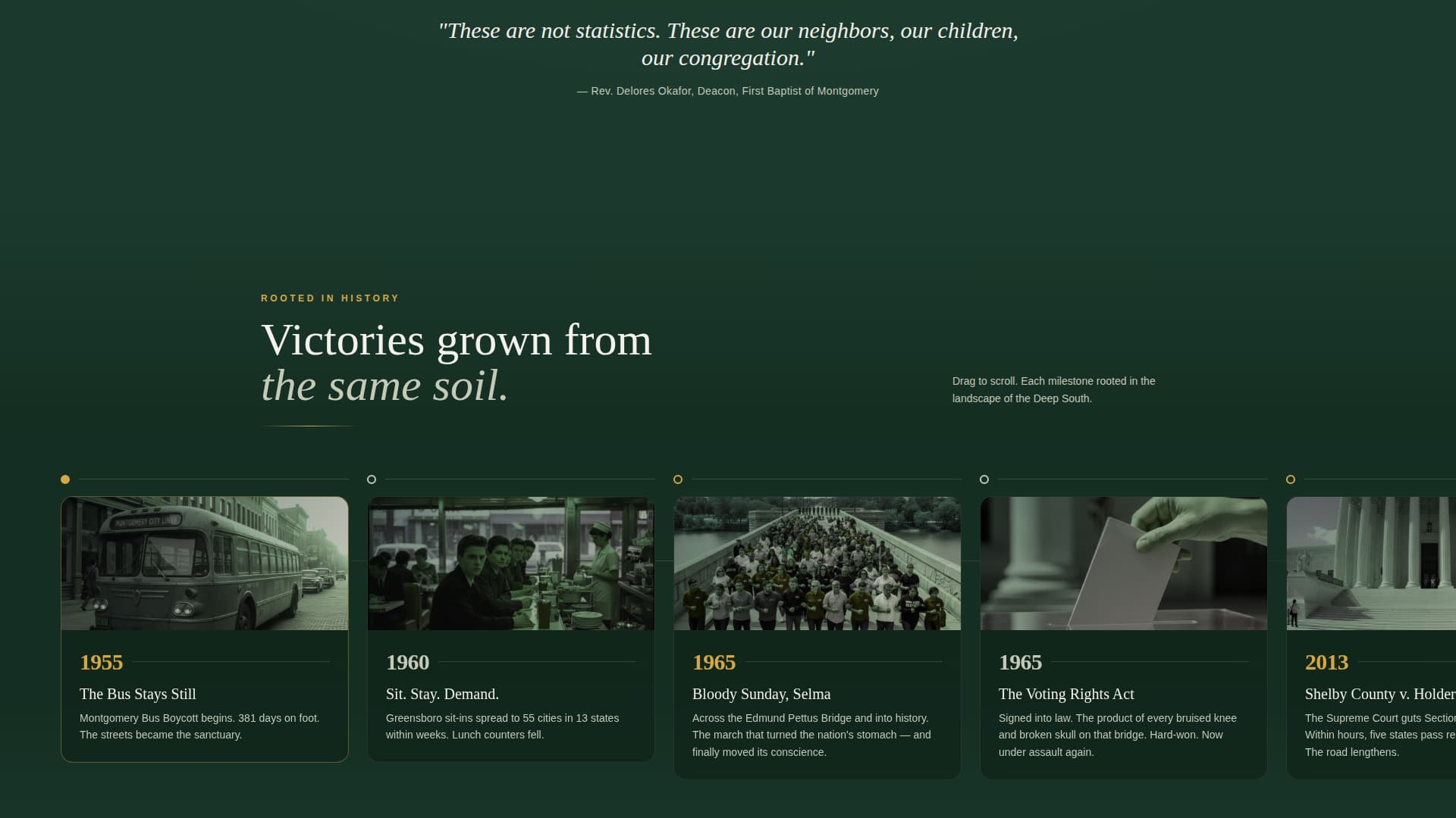 Specialist Advocacy & Social Campaign Professional Website Template