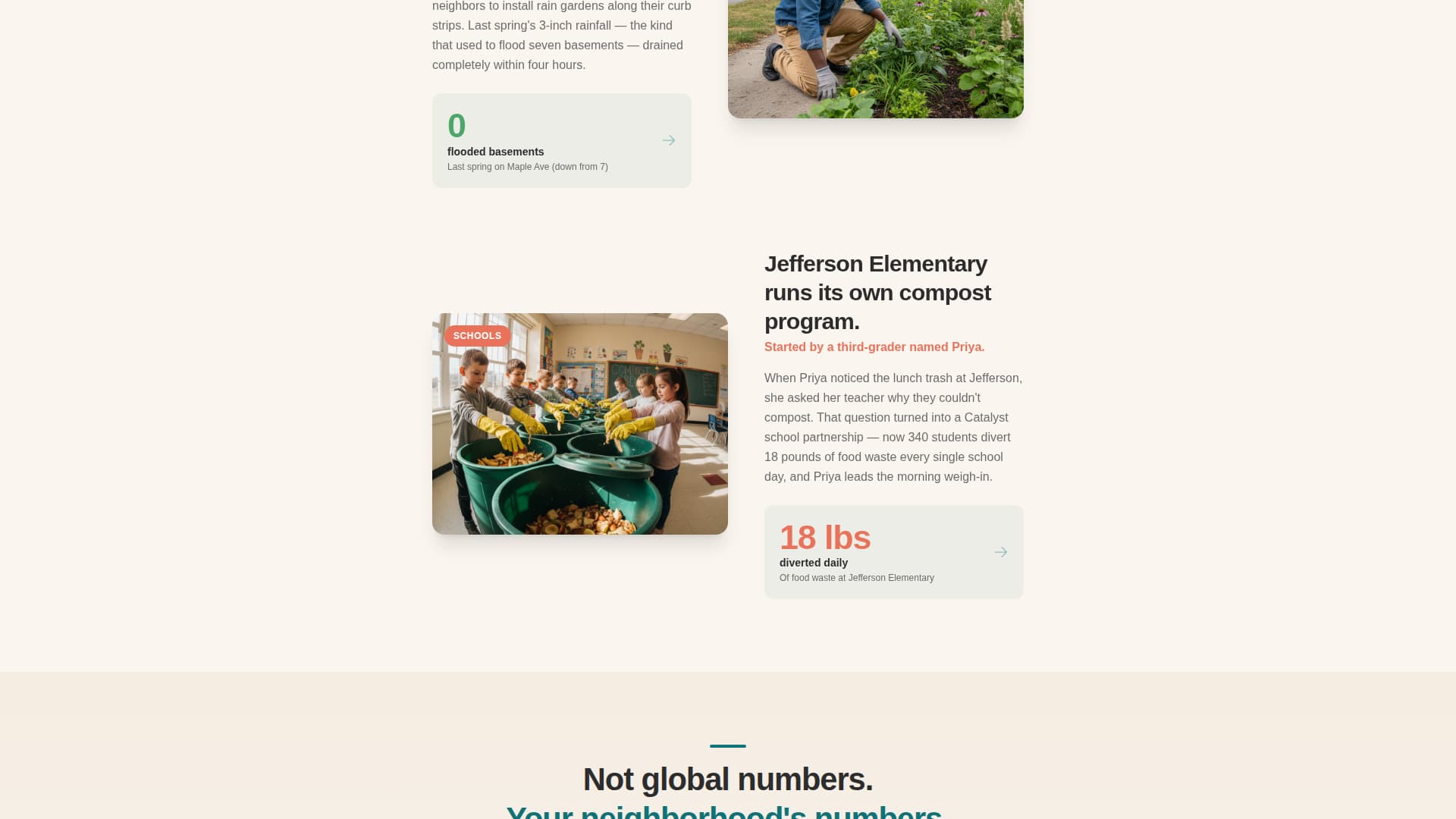 Specialist Environmental & Conservation NGO Professional Website Template