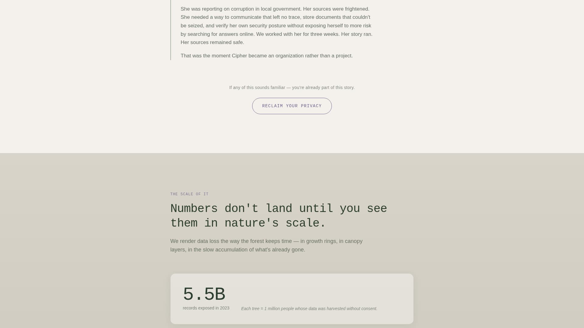 Advocacy & Social Campaign Privacy Policy & Terms Website Template