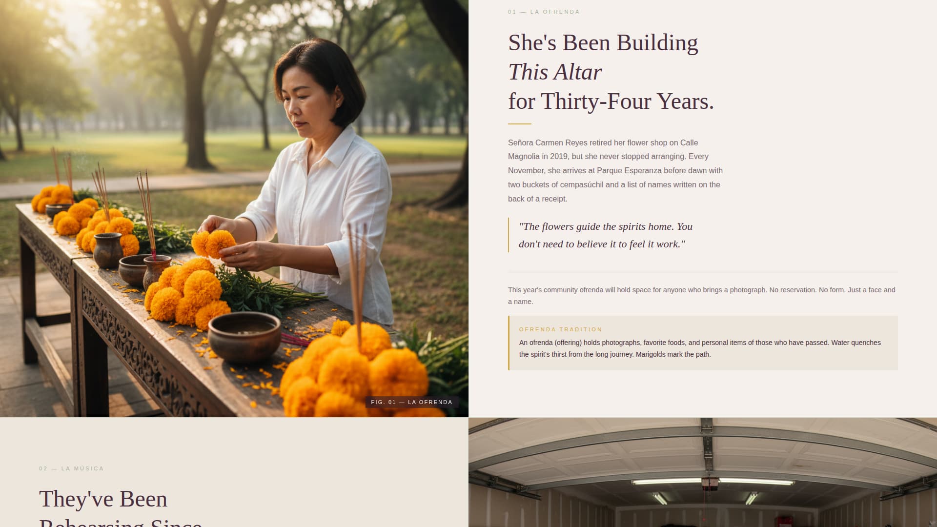 Specialist Latin American Community Blog & Content Website Template