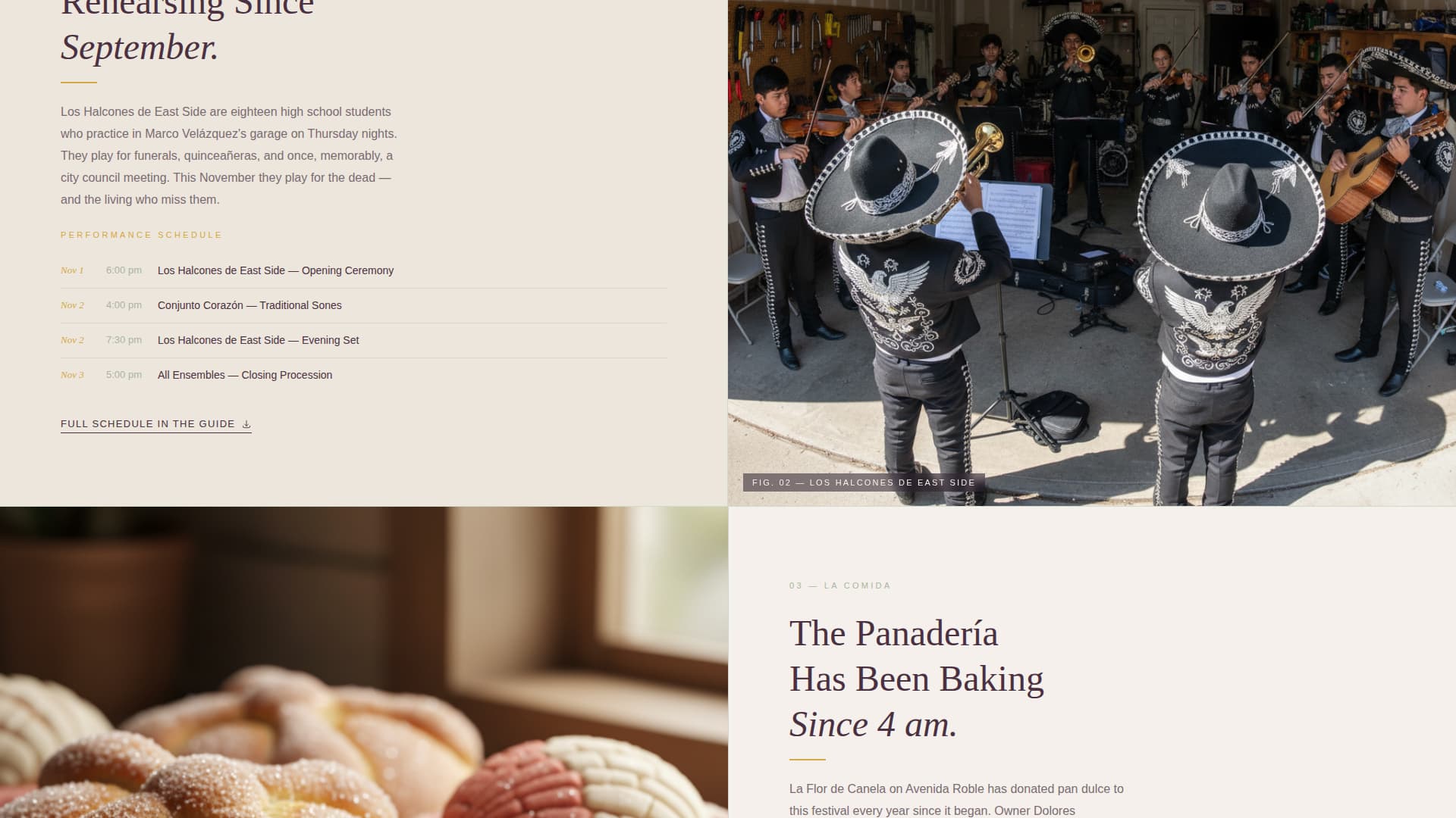 Specialist Latin American Community Blog & Content Website Template