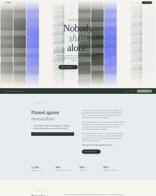 Mesh - Thriving Developer Landing Page Template