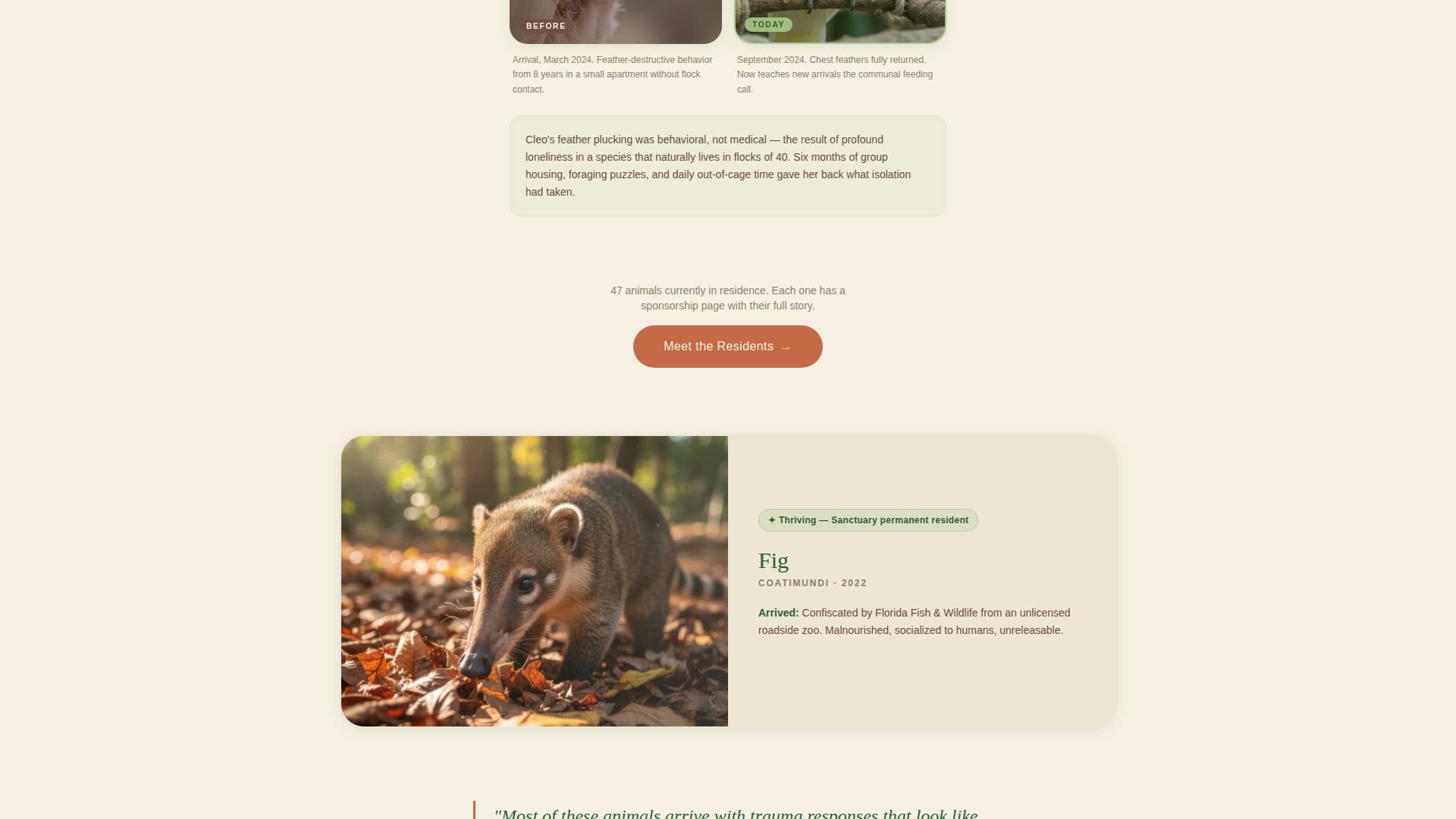 Haven - Compassionate Rescue Landing Page Template