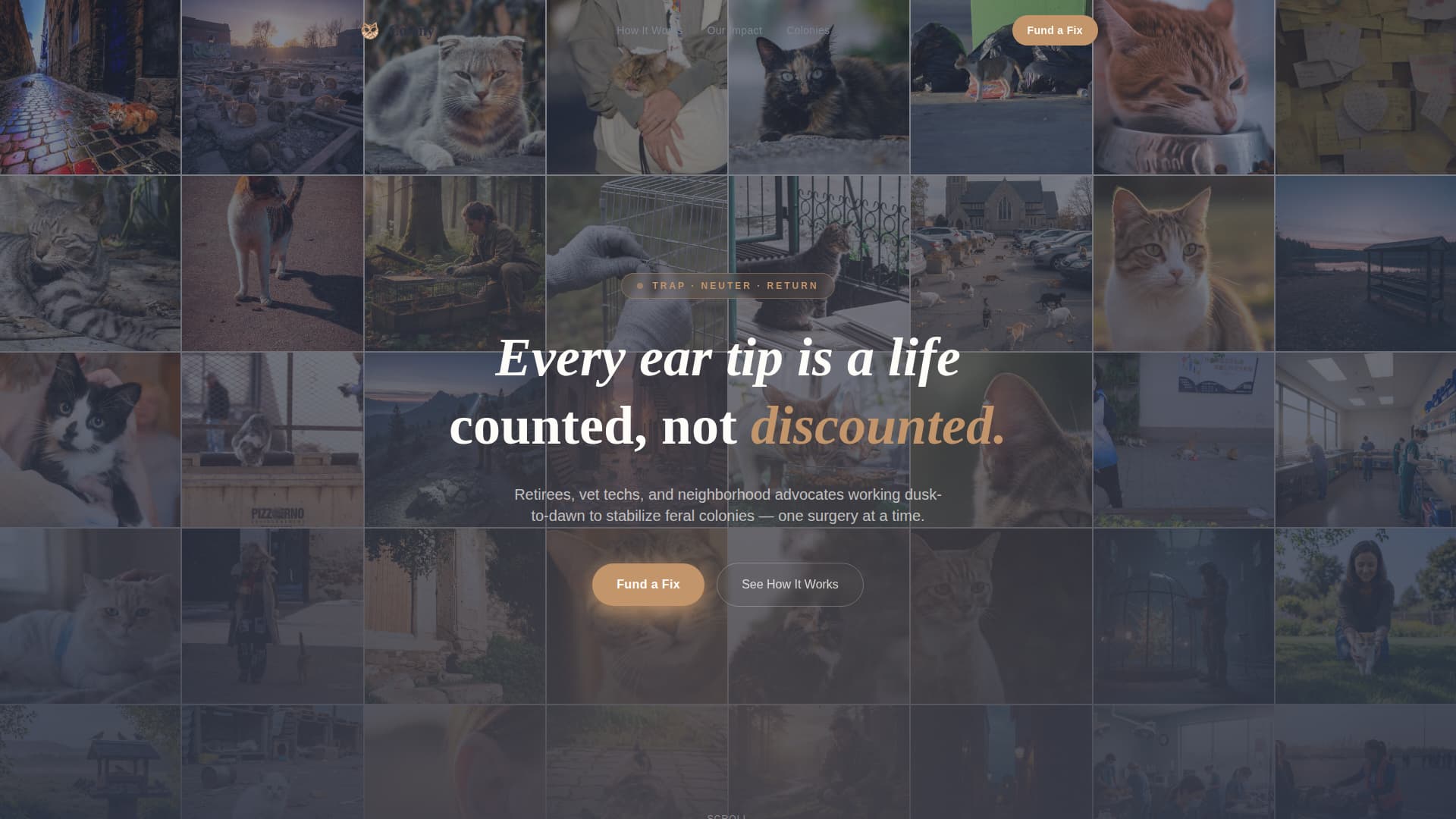 Animal Welfare & Protection Professional Website Template