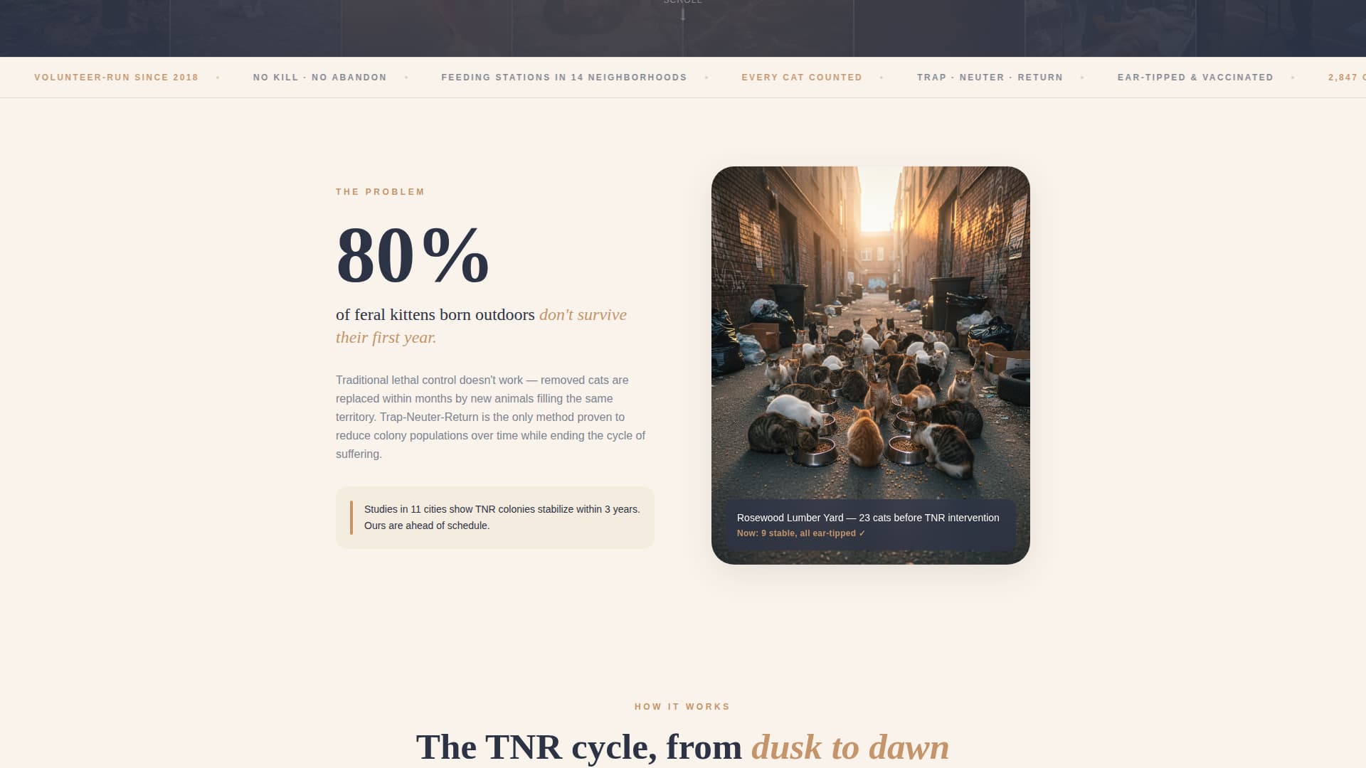 Animal Welfare & Protection Professional Website Template