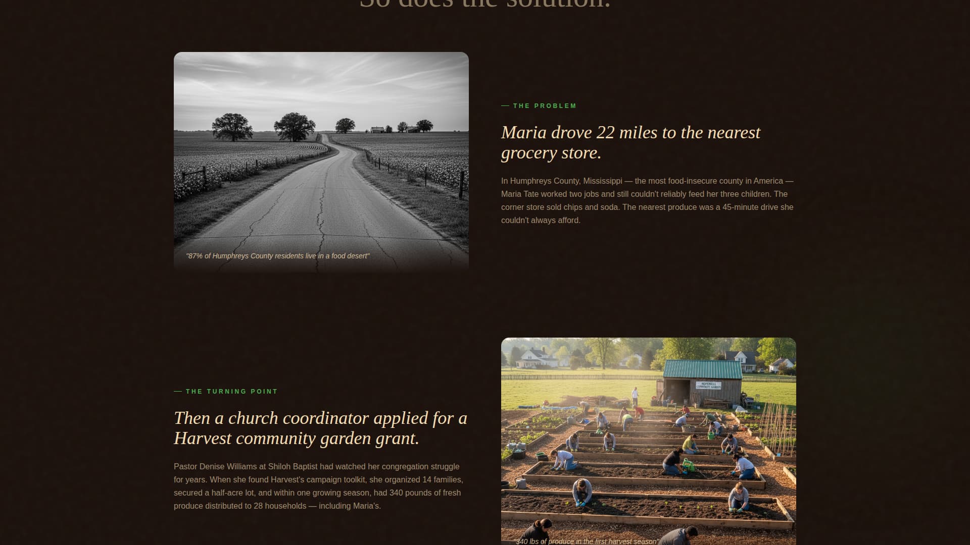 Harvest - Impactful Nonprofit Landing Page Template
