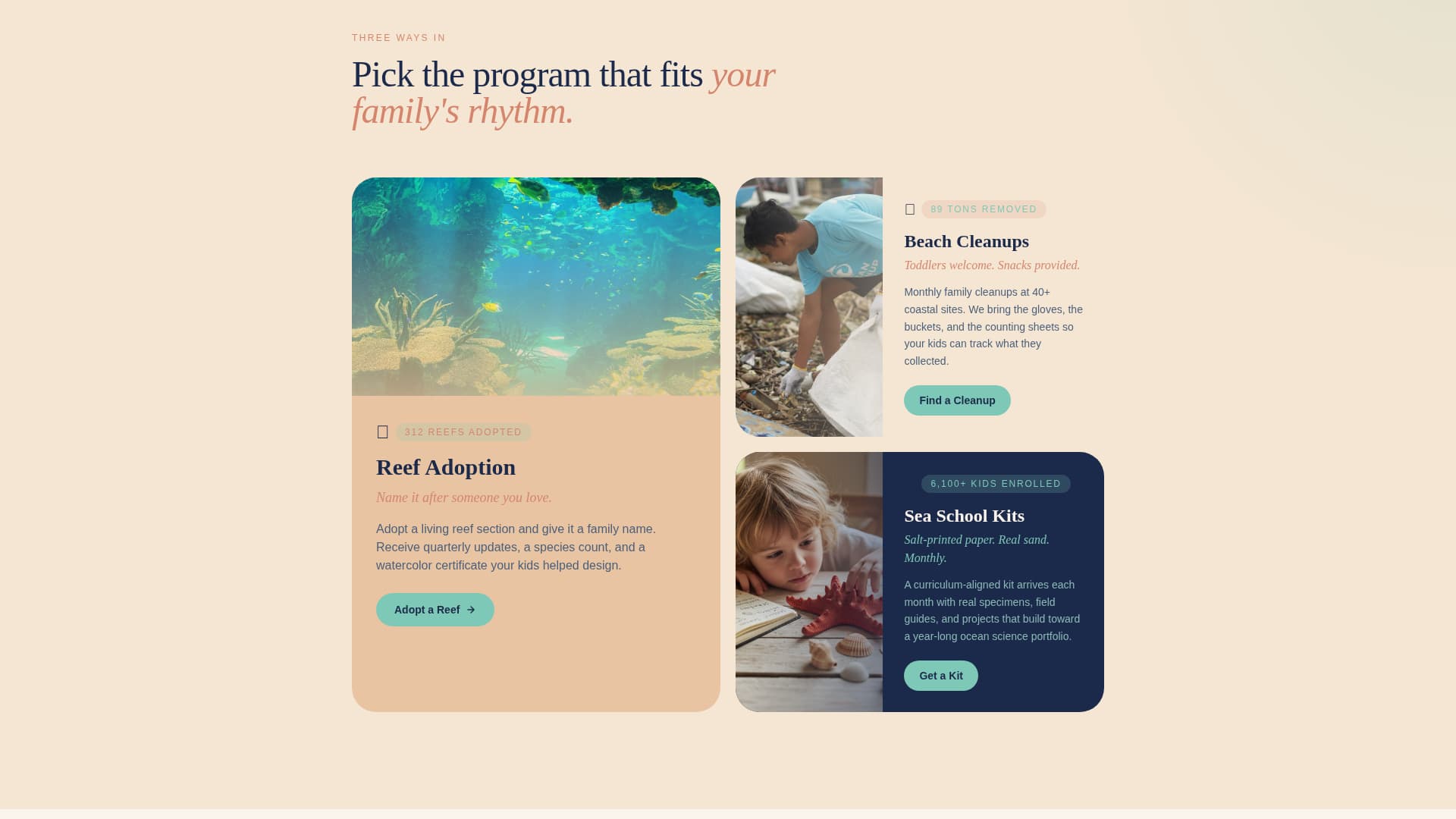 Advanced Environmental & Conservation NGO Professional Website Template