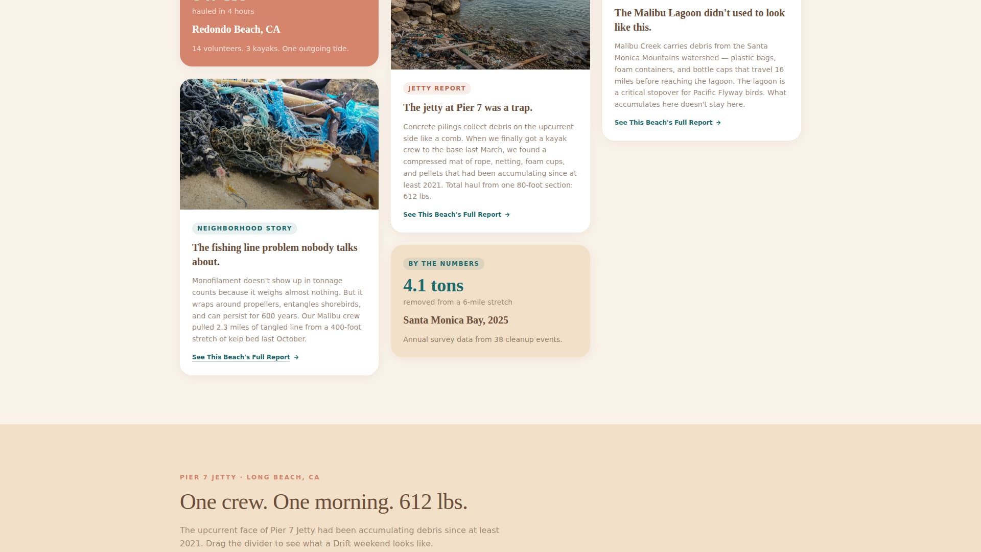 Complete Environmental & Conservation NGO Professional Website Template