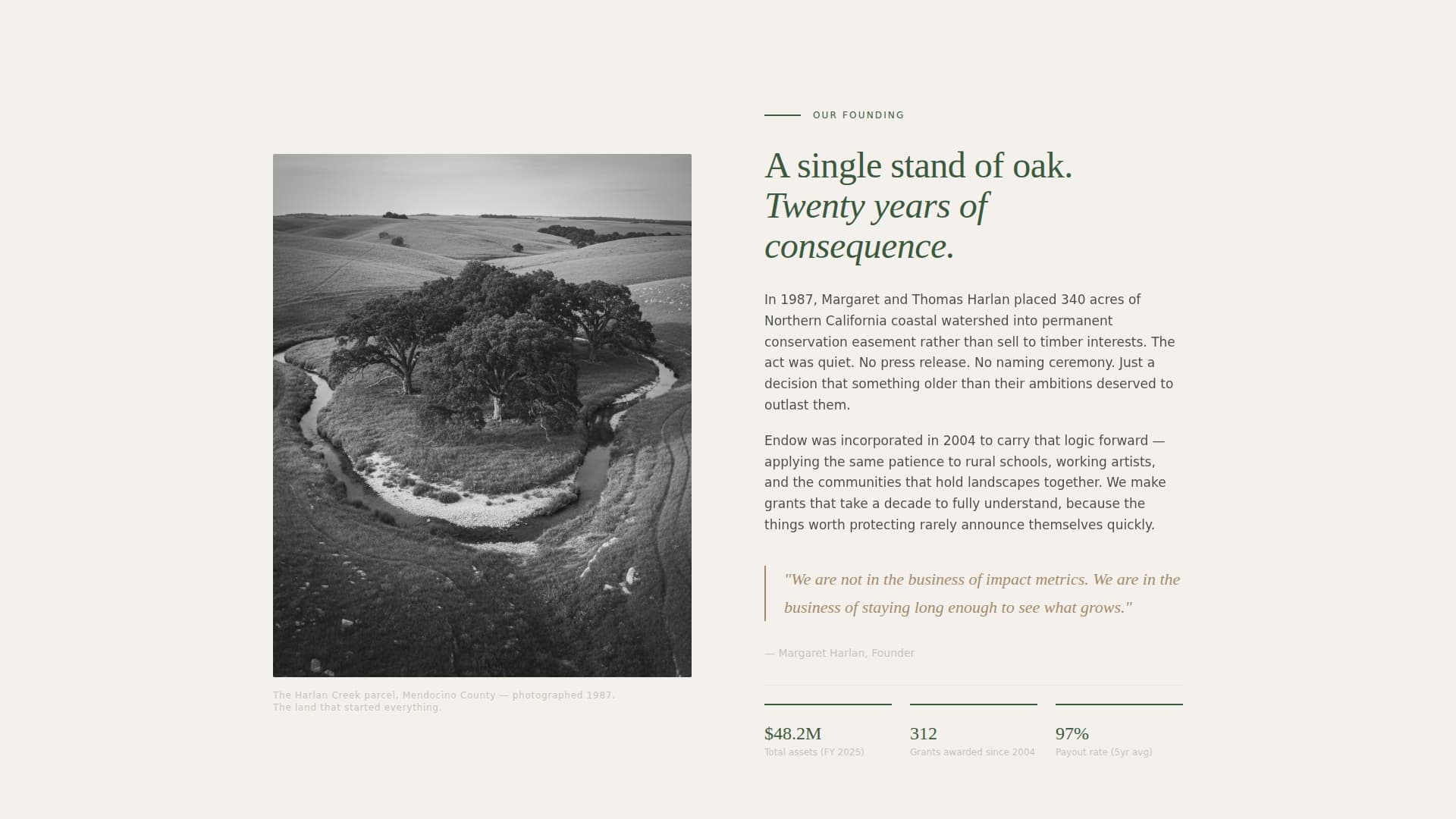 Foundation & NGO Blog & Content Website Template