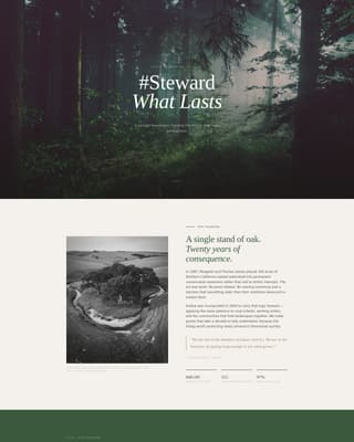 Foundation & NGO Blog & Content Website Template