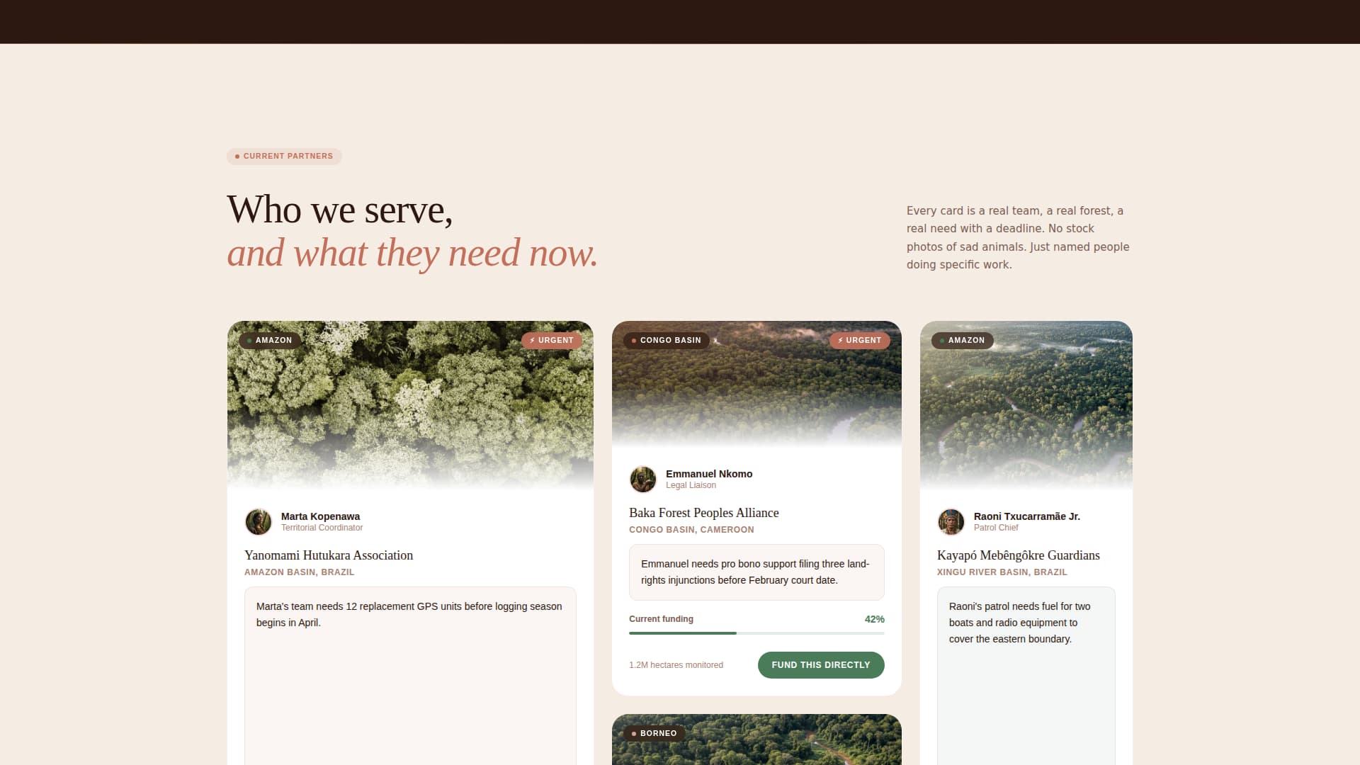 Canopy - Powerful Rainforest Landing Page Template