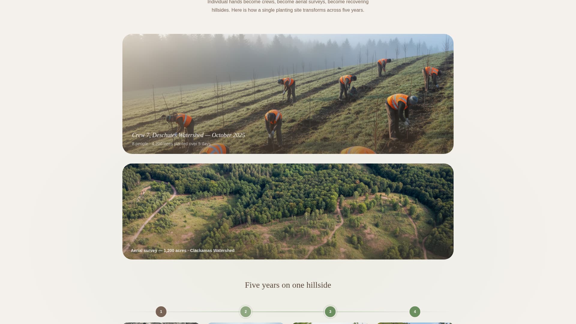 Expert Environmental & Conservation NGO Professional Website Template
