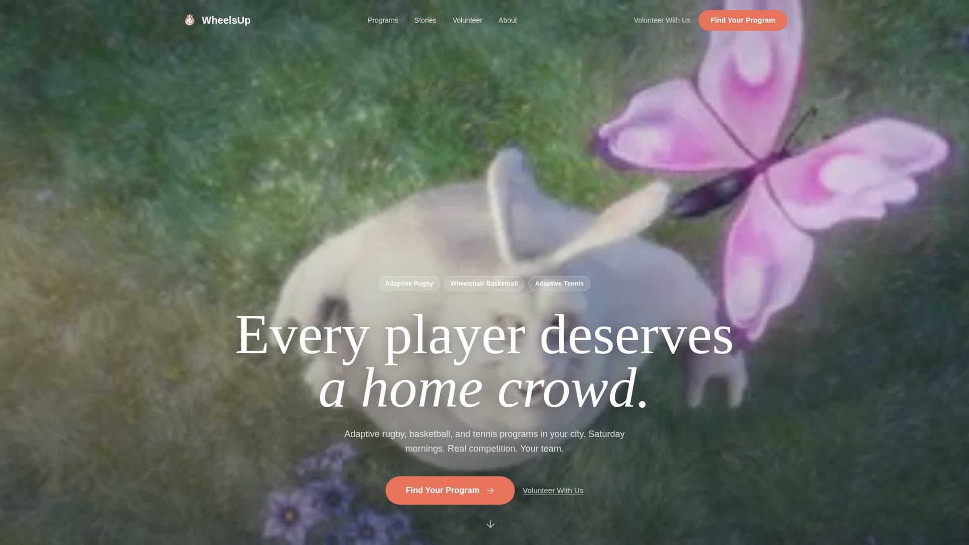 Disability & Inclusion Nonprofit Professional Website Template