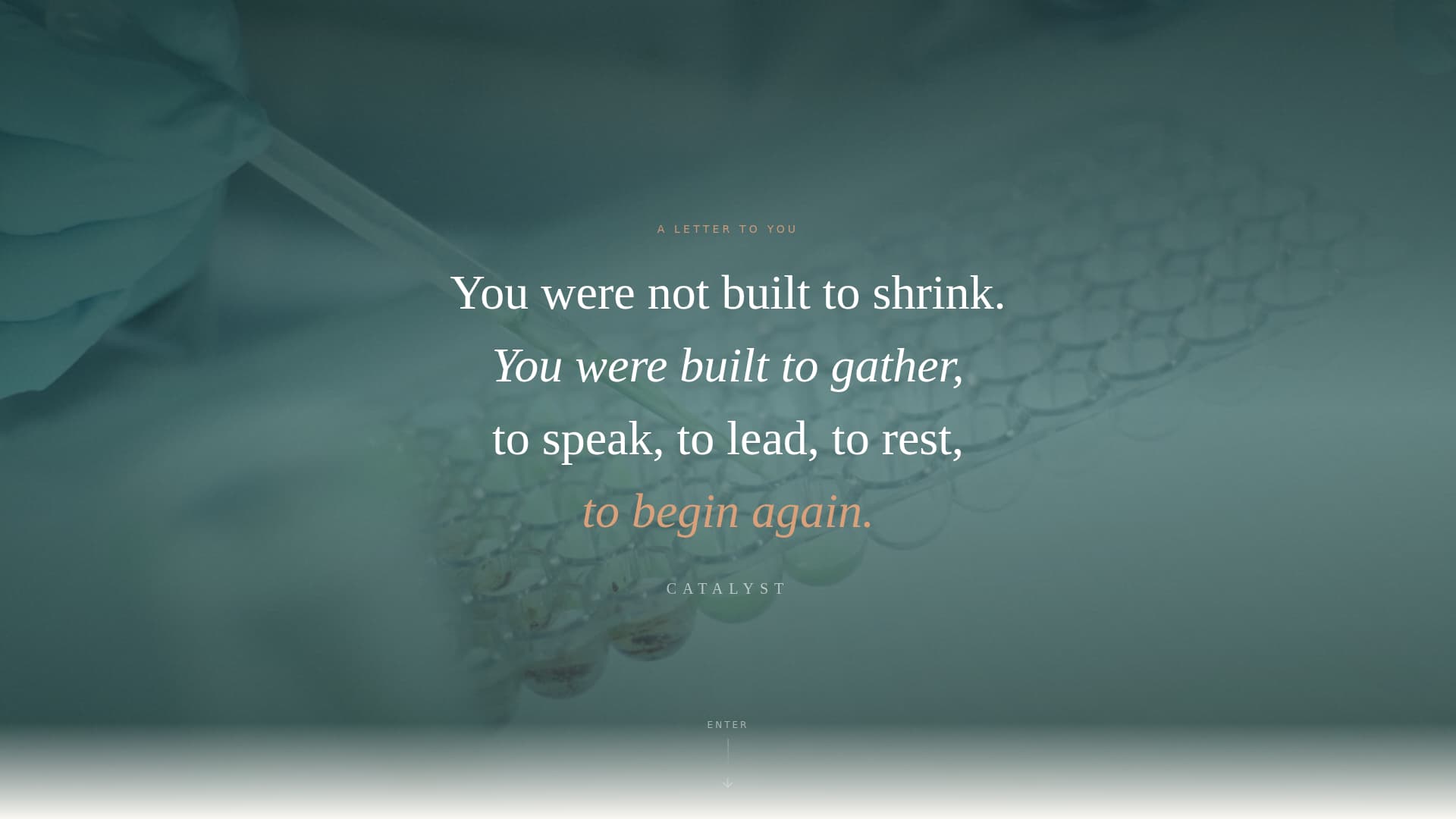 Women's Empowerment Nonprofit Professional Website Template
