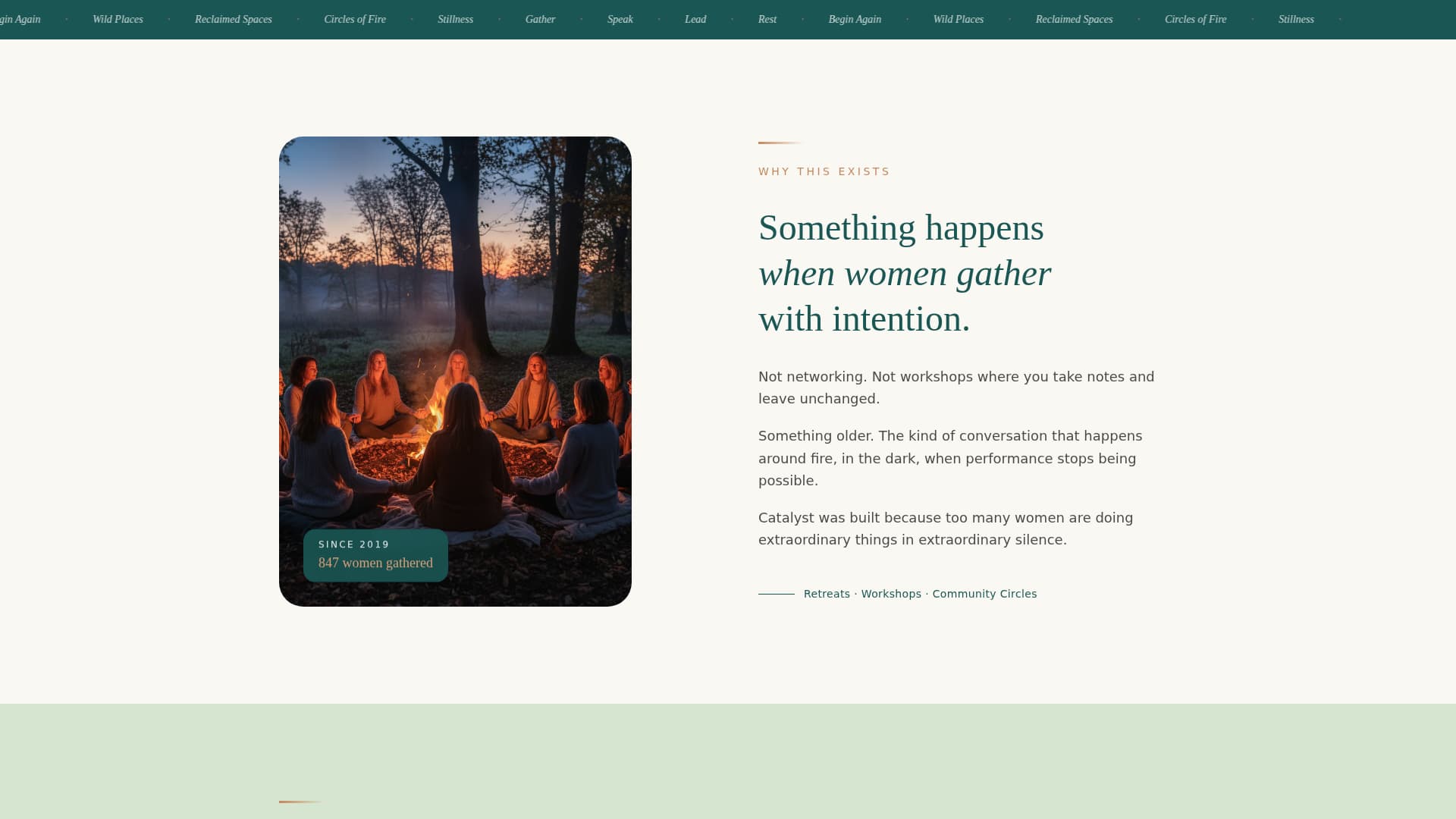 Women's Empowerment Nonprofit Professional Website Template