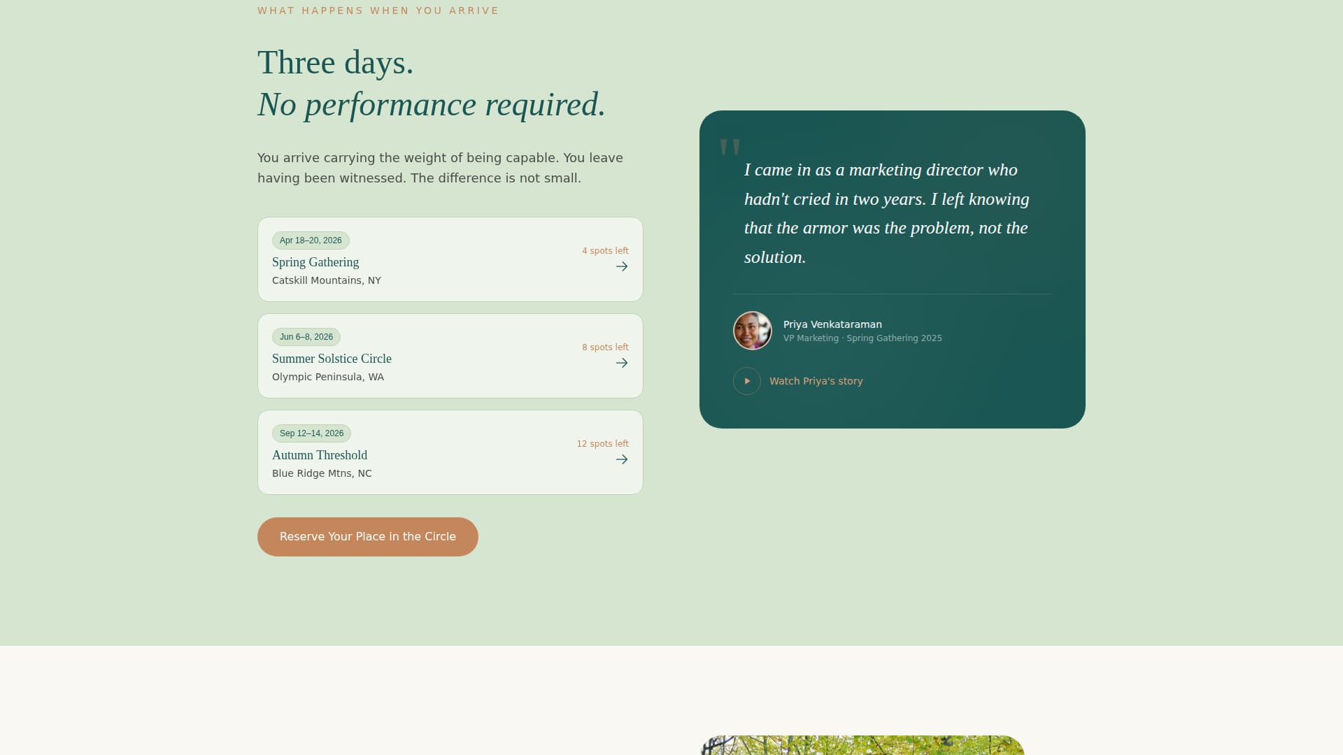 Women's Empowerment Nonprofit Professional Website Template