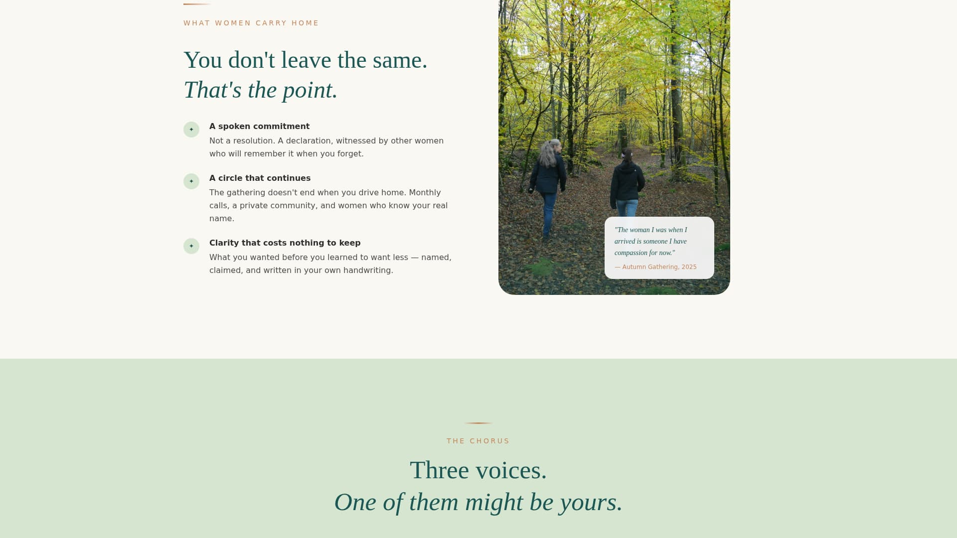 Women's Empowerment Nonprofit Professional Website Template