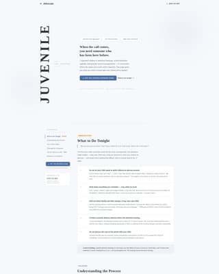 Family & Domestic Law Professional Website Template