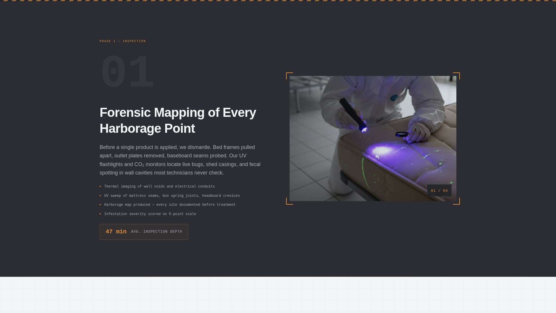 Bed Bug Exterminator Website Template with Inspection Booking