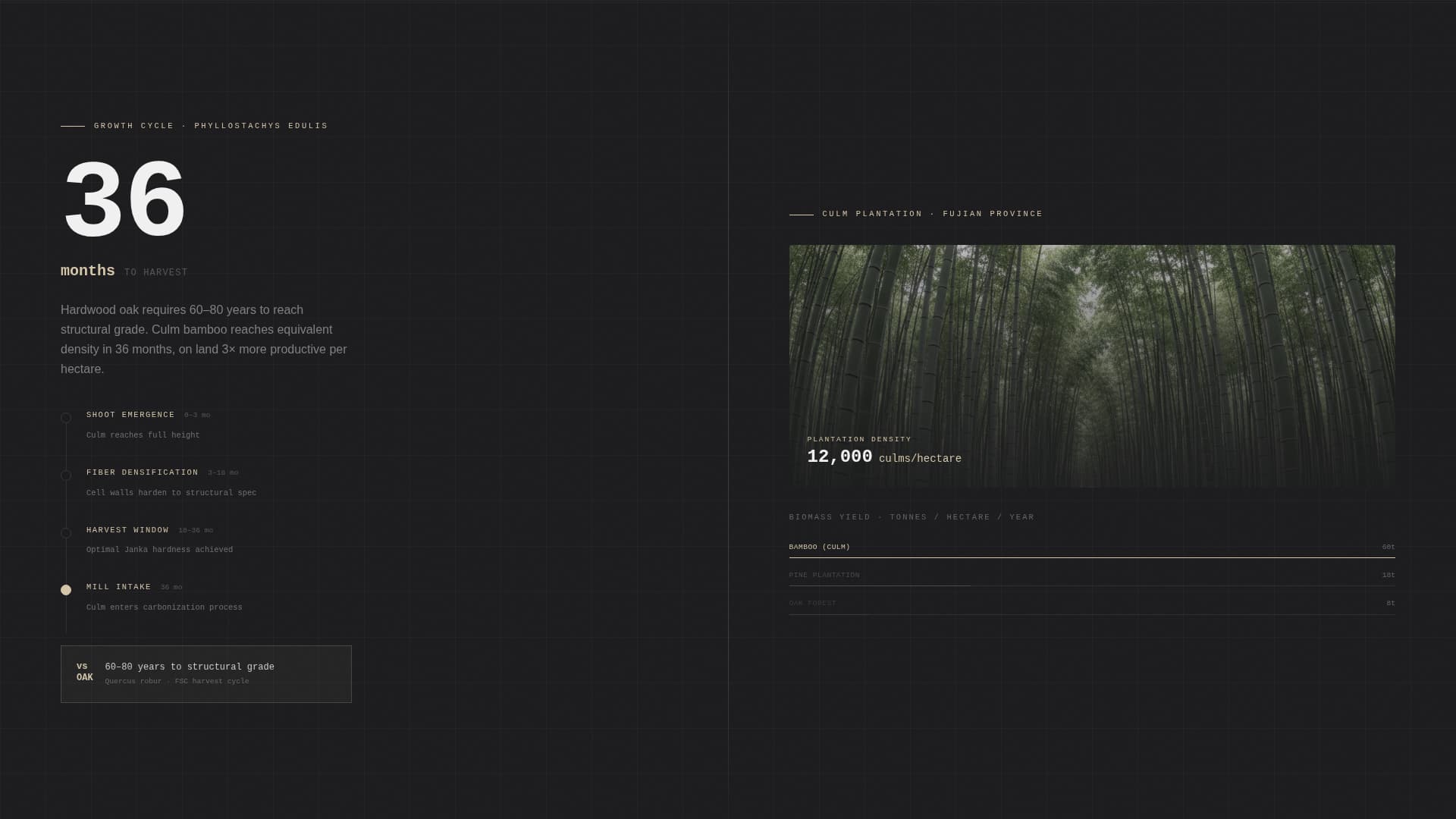 Wood & Furniture Manufacturing Professional Website Template