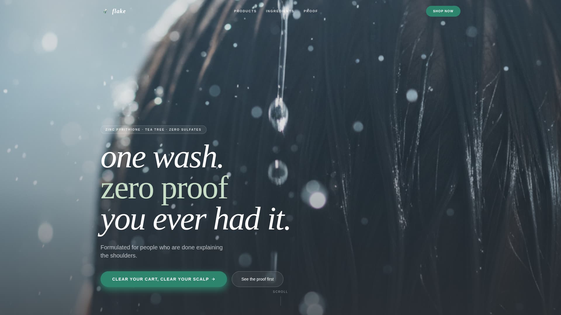 Hair Care Brand & Product Professional Website Template