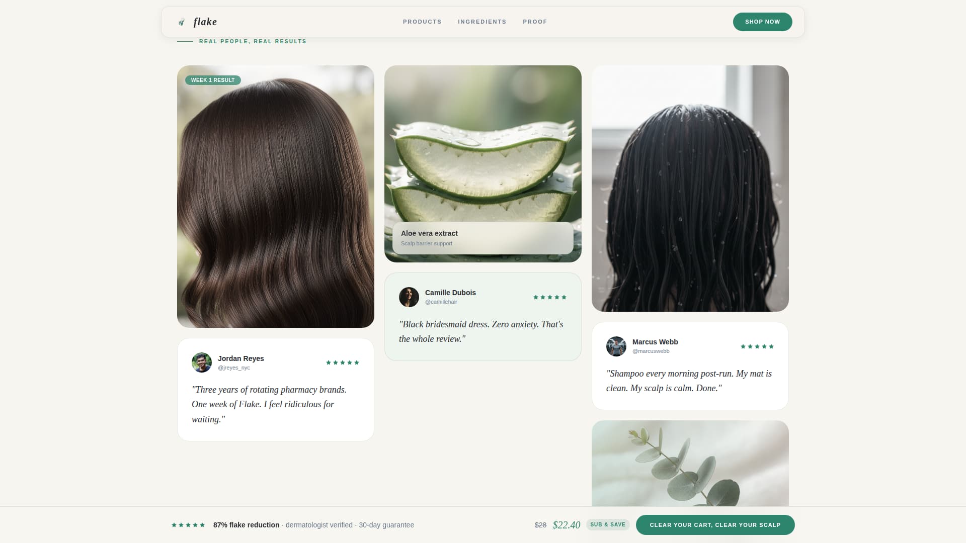 Hair Care Brand & Product Professional Website Template