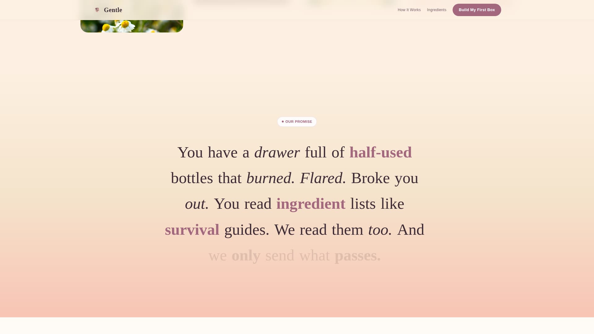 Sensitive Skin Beauty Reviews Website Template