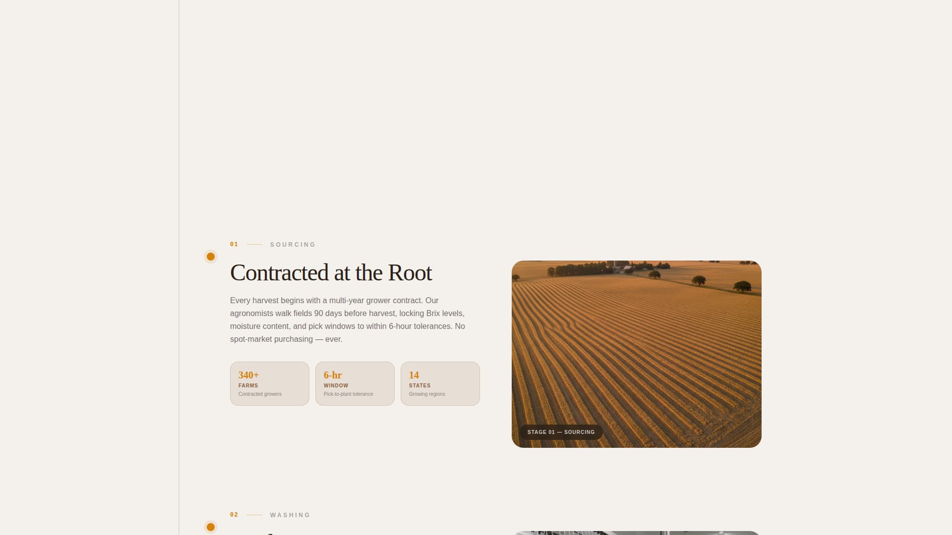 Forge - Precision Frozenfood Landing Page Template