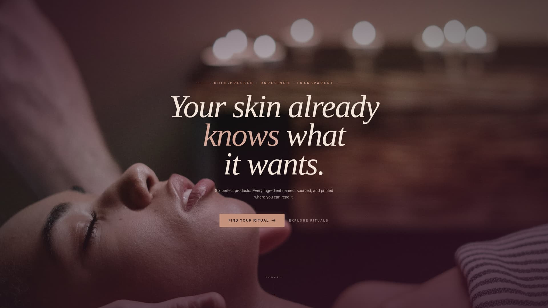 Makeup Artist & MUA Blog Website Template